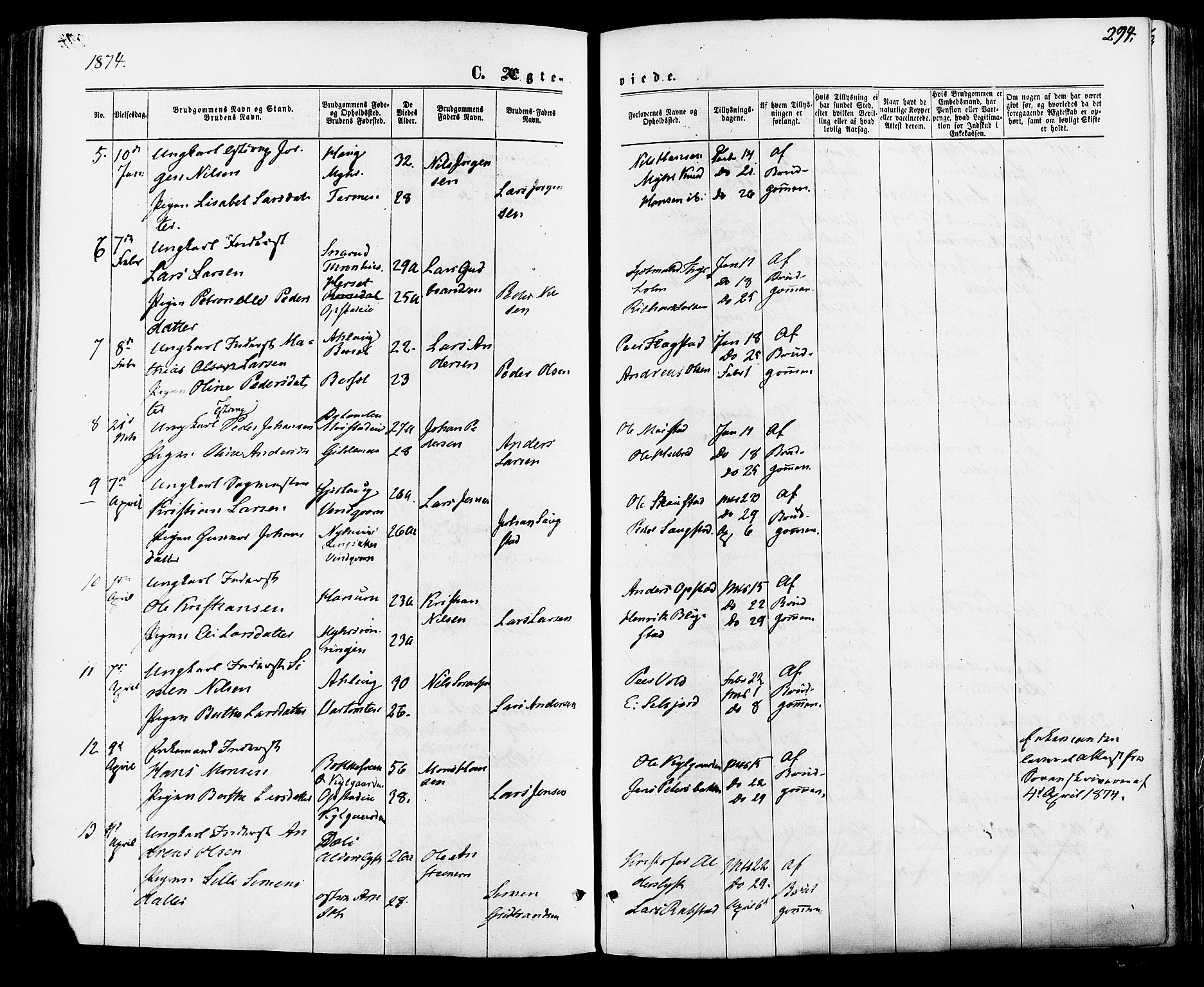 Vang prestekontor, Hedmark, AV/SAH-PREST-008/H/Ha/Haa/L0015: Parish register (official) no. 15, 1871-1885, p. 294