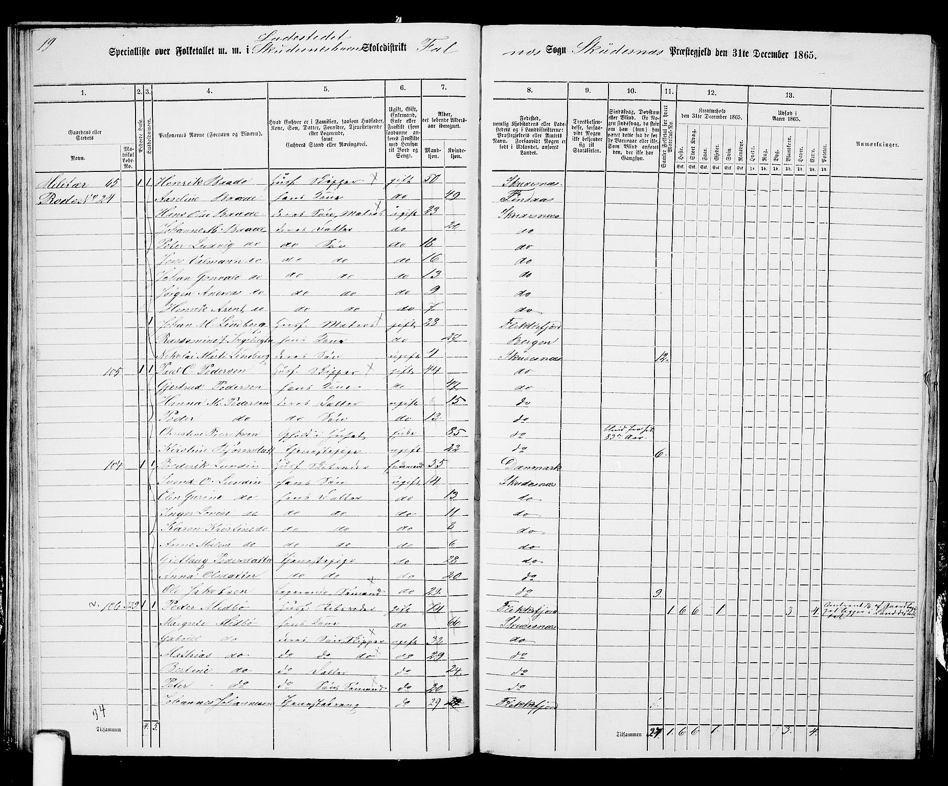 RA, 1865 census for Skudenes, 1865, p. 231