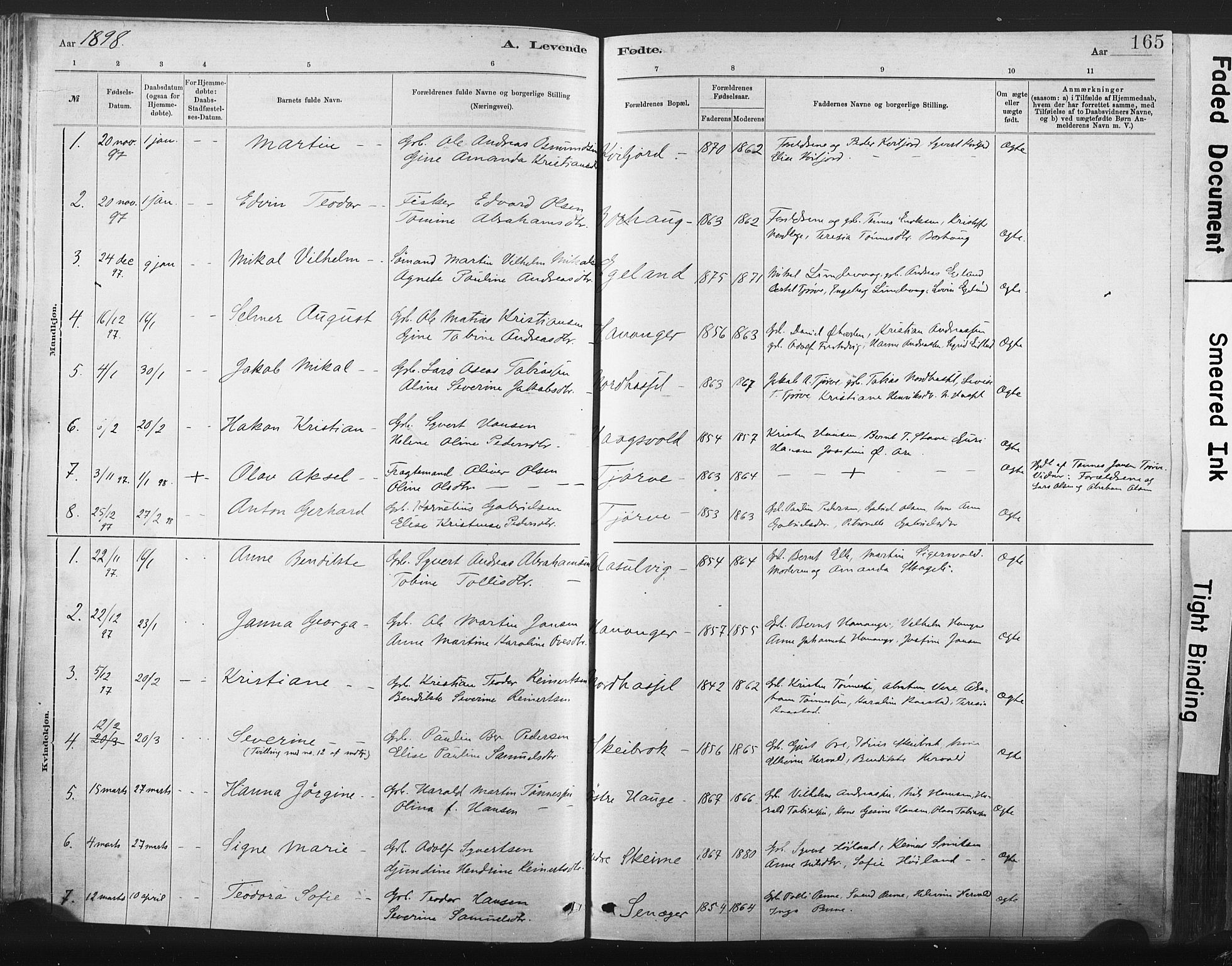 Lista sokneprestkontor, SAK/1111-0027/F/Fa/L0012: Parish register (official) no. A 12, 1879-1903, p. 165