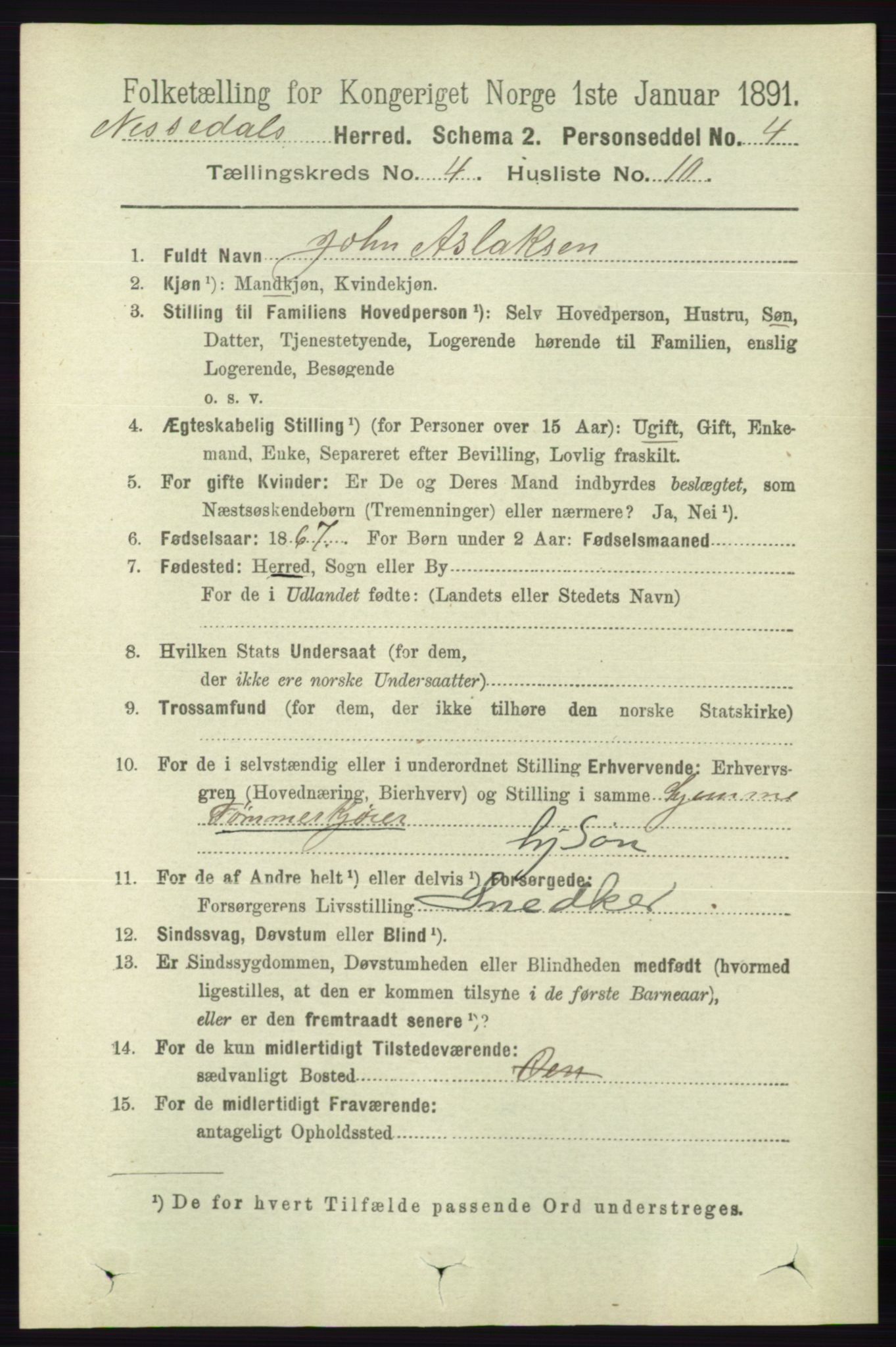 RA, 1891 census for 0830 Nissedal, 1891, p. 915