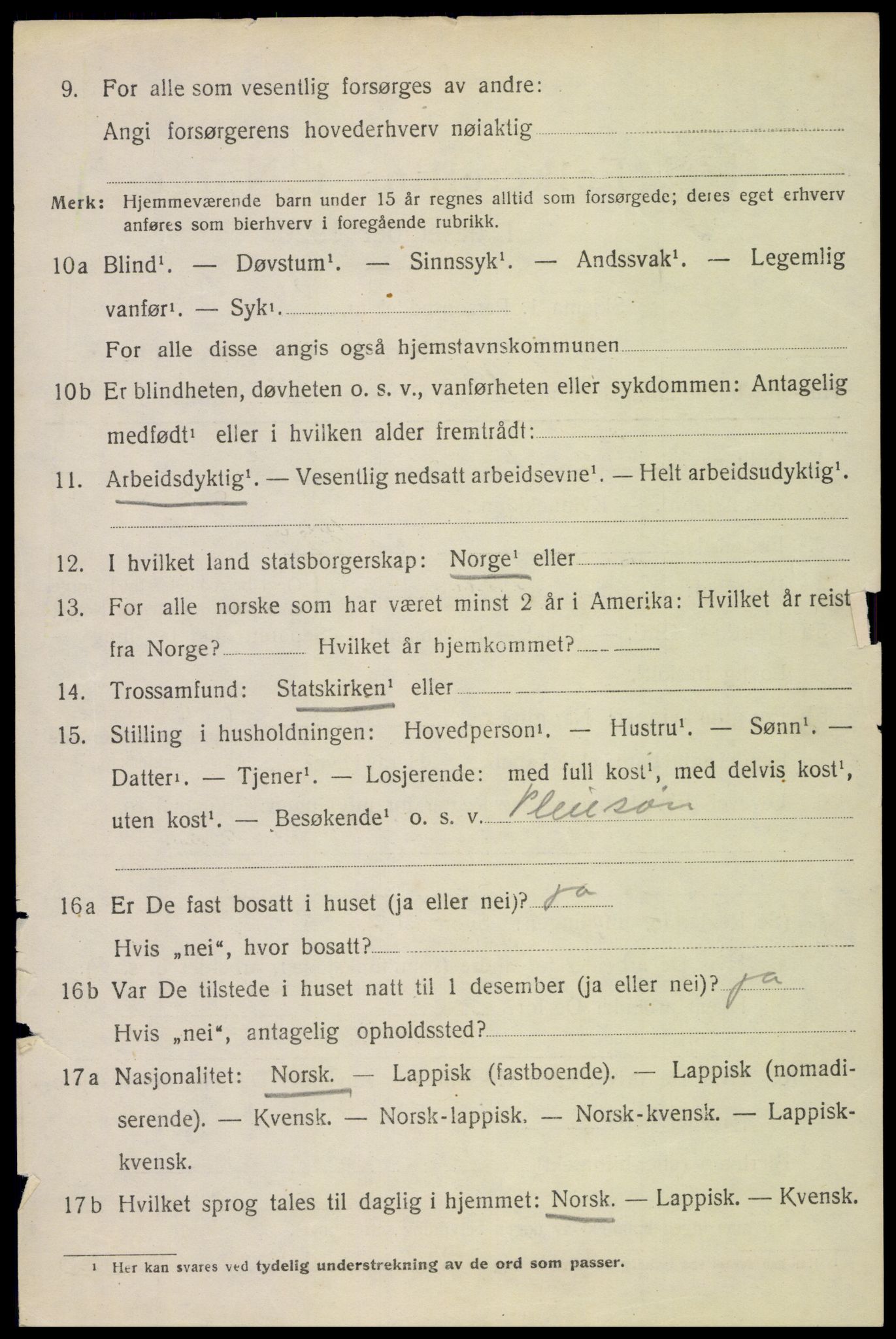 SAT, 1920 census for Borge, 1920, p. 4294