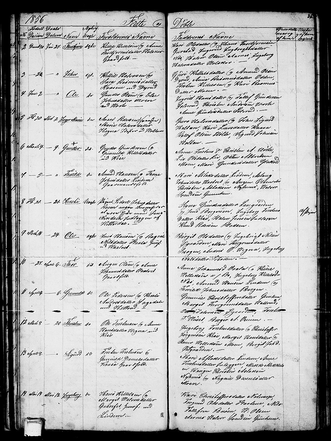 Sauherad kirkebøker, SAKO/A-298/G/Gb/L0001: Parish register (copy) no. II 1, 1845-1865, p. 36