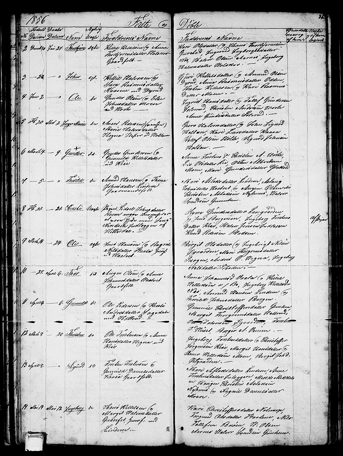 Sauherad kirkebøker, AV/SAKO-A-298/G/Gb/L0001: Parish register (copy) no. II 1, 1845-1865, p. 36