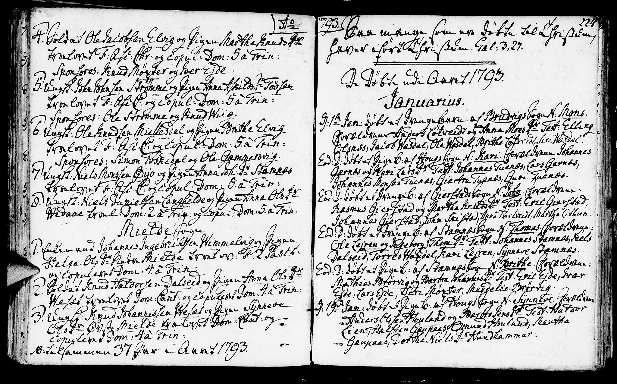 Haus sokneprestembete, SAB/A-75601/H/Haa: Parish register (official) no. A 10, 1782-1796, p. 224