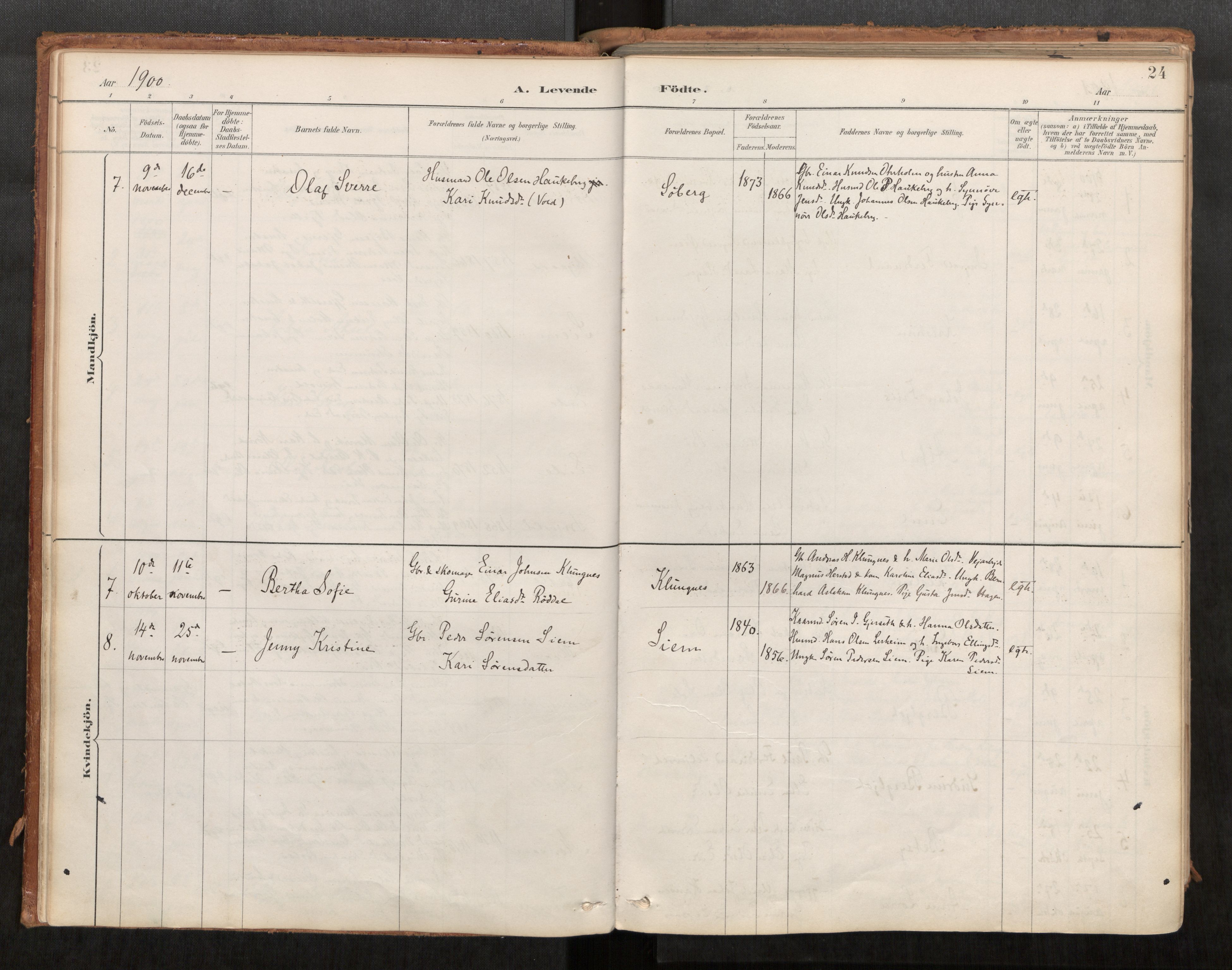 Ministerialprotokoller, klokkerbøker og fødselsregistre - Møre og Romsdal, AV/SAT-A-1454/542/L0553: Parish register (official) no. 542A03, 1885-1925, p. 24