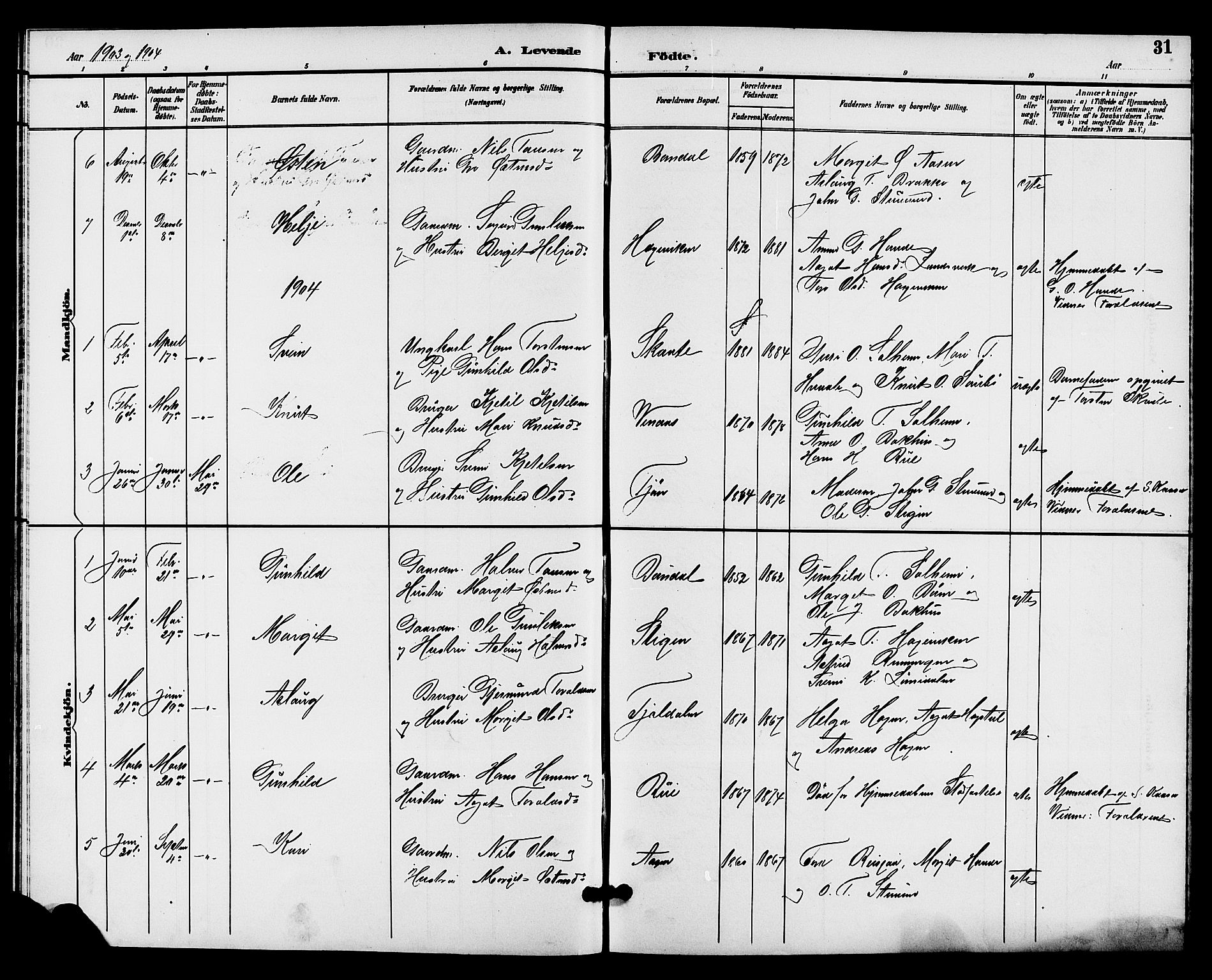 Hjartdal kirkebøker, SAKO/A-270/G/Gc/L0003: Parish register (copy) no. III 3, 1890-1907, p. 31