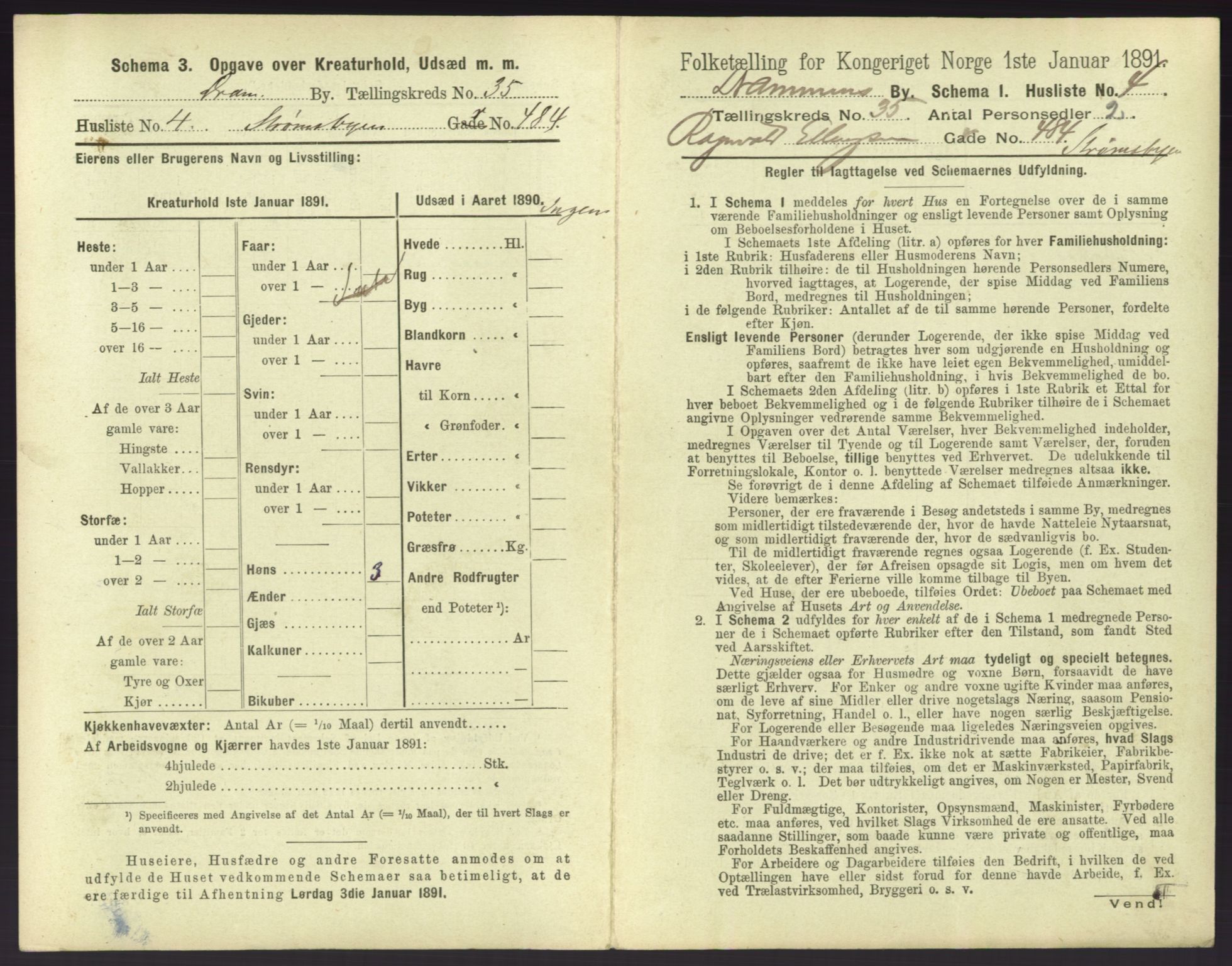 RA, 1891 census for 0602 Drammen, 1891, p. 3115