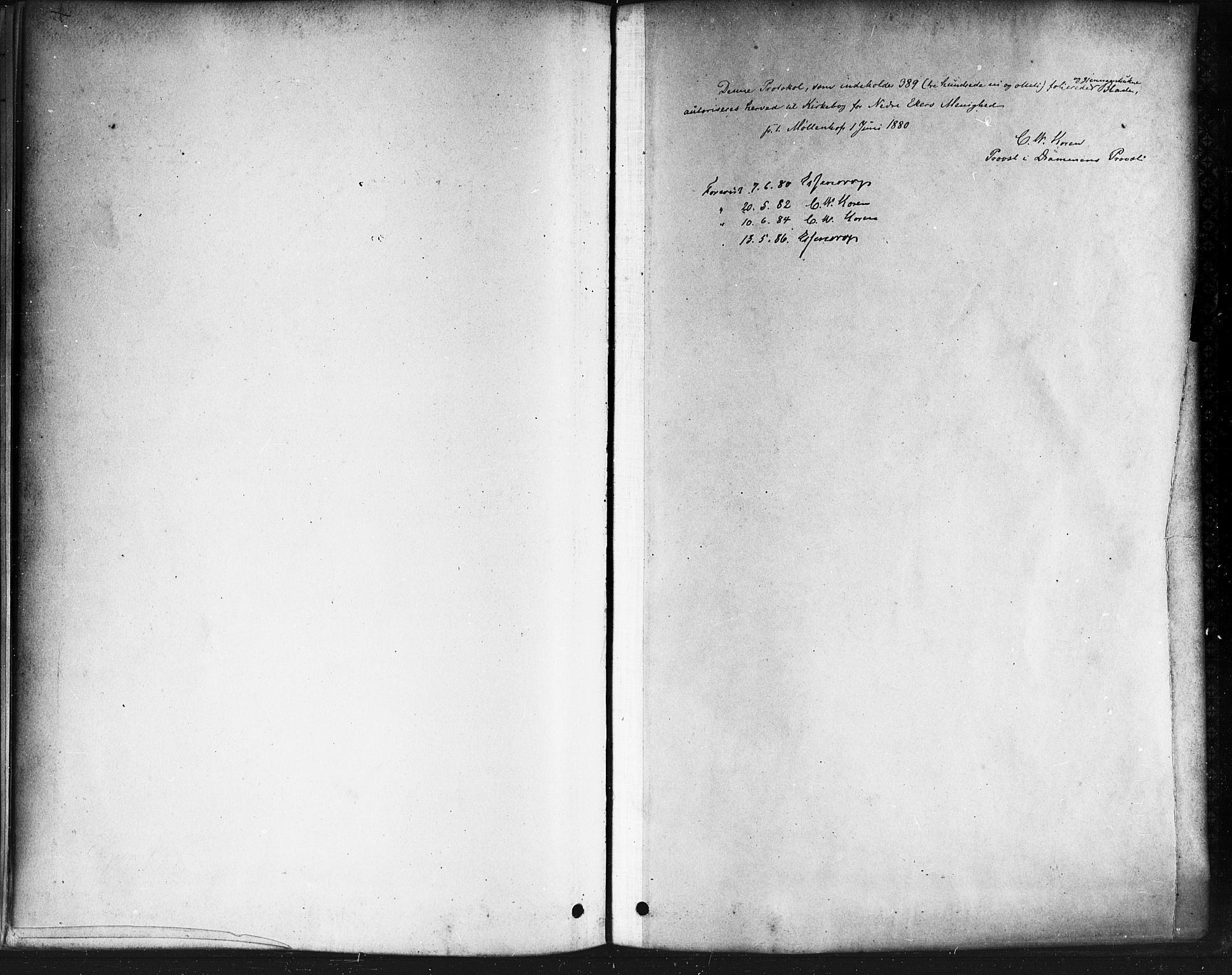 Nedre Eiker kirkebøker, AV/SAKO-A-612/F/Fa/L0002: Parish register (official) no. 2, 1878-1885