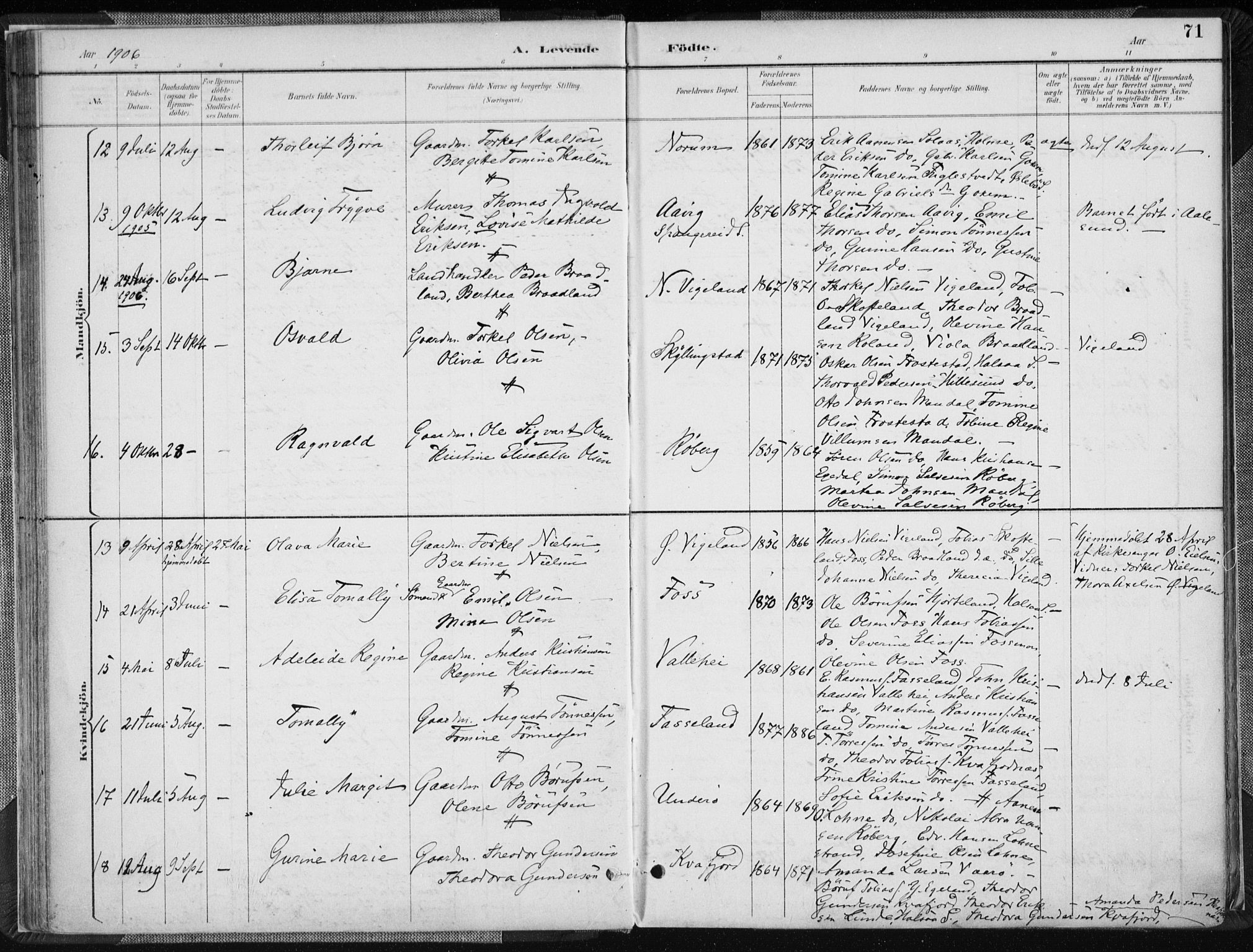 Sør-Audnedal sokneprestkontor, AV/SAK-1111-0039/F/Fa/Fab/L0010: Parish register (official) no. A 10, 1892-1913, p. 71