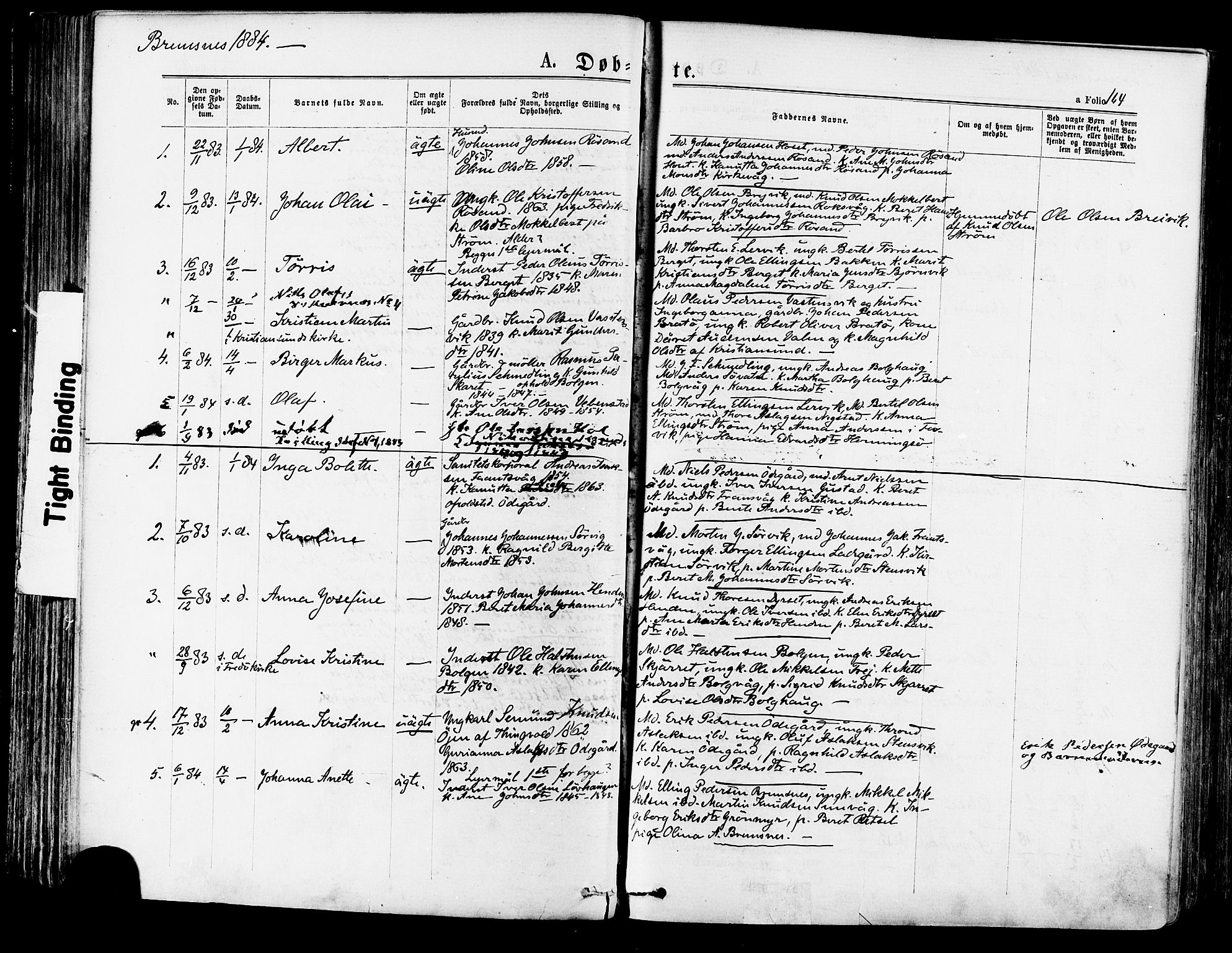 Ministerialprotokoller, klokkerbøker og fødselsregistre - Møre og Romsdal, SAT/A-1454/568/L0806: Parish register (official) no. 568A12 /3, 1878-1884, p. 164