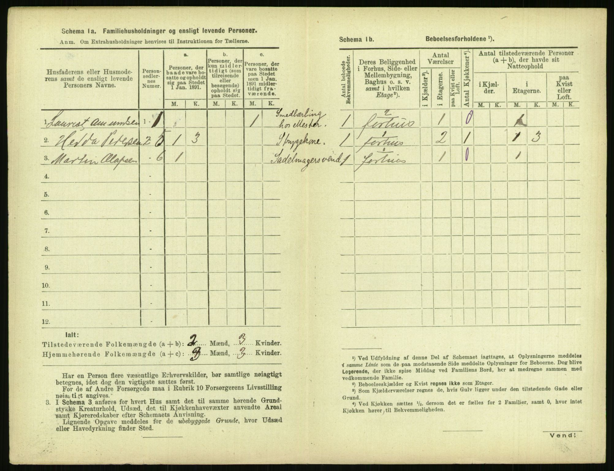 RA, 1891 census for 0806 Skien, 1891, p. 215