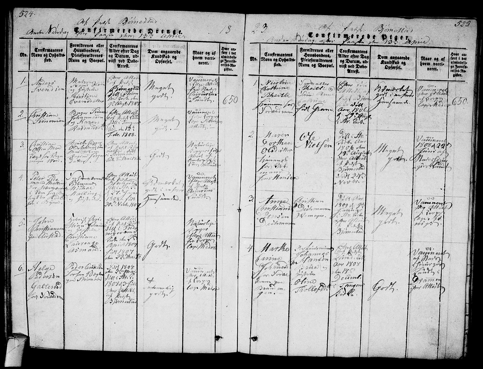 Strømsø kirkebøker, SAKO/A-246/G/Ga/L0001: Parish register (copy) no. 1, 1815-1829, p. 524-525