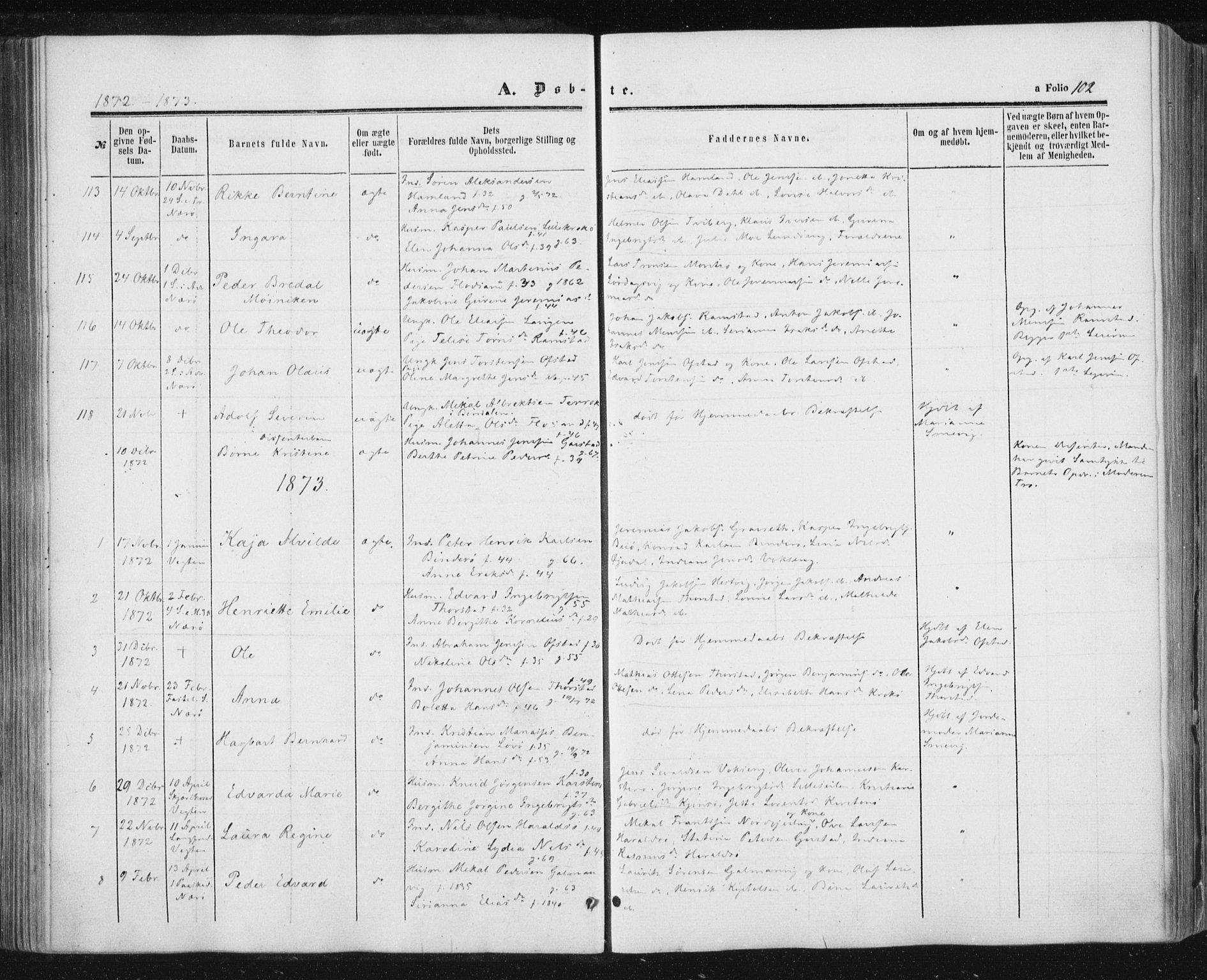 Ministerialprotokoller, klokkerbøker og fødselsregistre - Nord-Trøndelag, SAT/A-1458/784/L0670: Parish register (official) no. 784A05, 1860-1876, p. 102