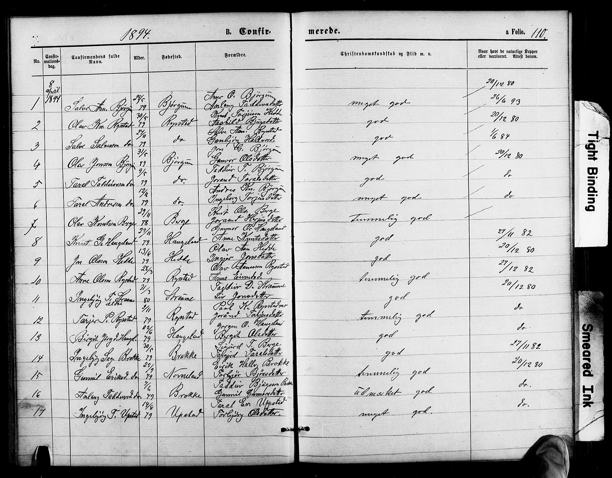 Valle sokneprestkontor, SAK/1111-0044/F/Fb/Fbb/L0002: Parish register (copy) no. B 2, 1875-1921, p. 110