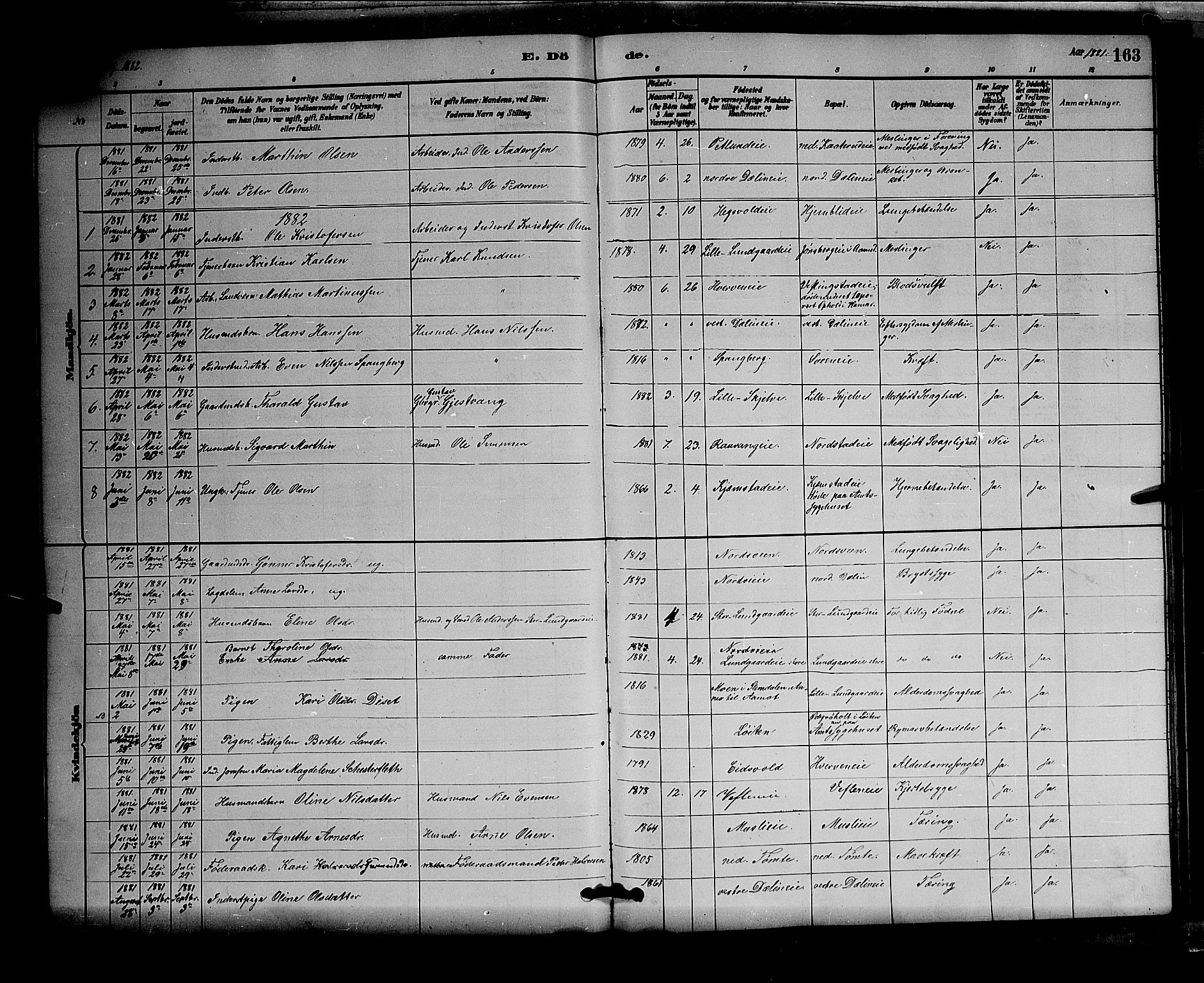 Stange prestekontor, AV/SAH-PREST-002/L/L0007: Parish register (copy) no. 7, 1880-1893, p. 163