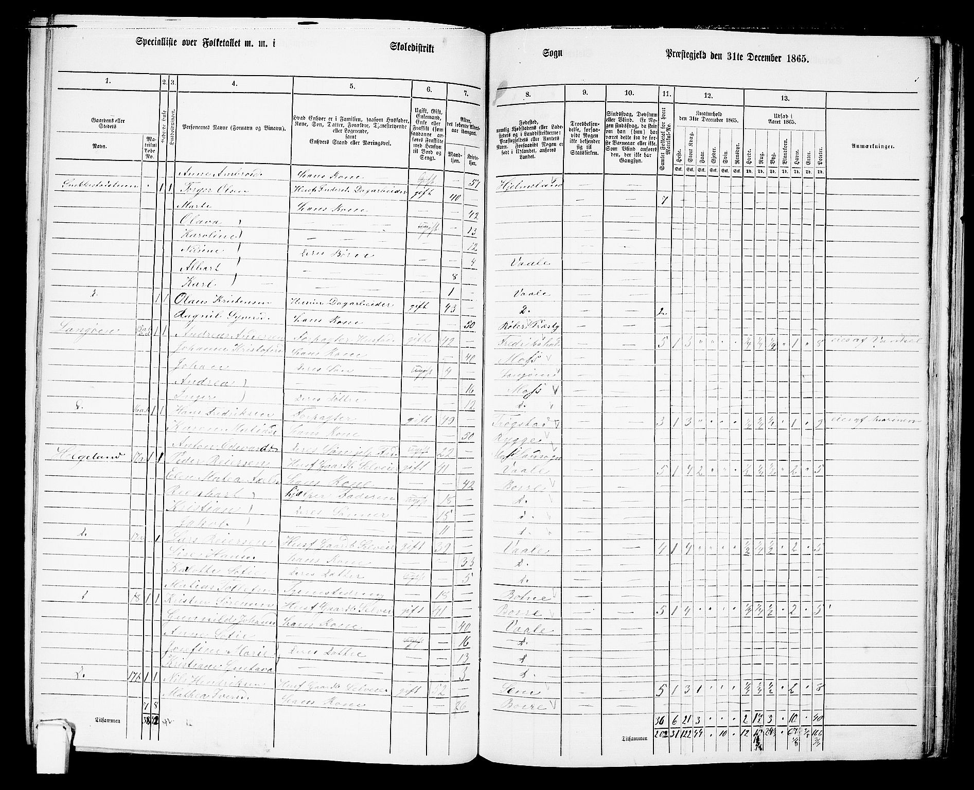 RA, 1865 census for Våle, 1865, p. 18