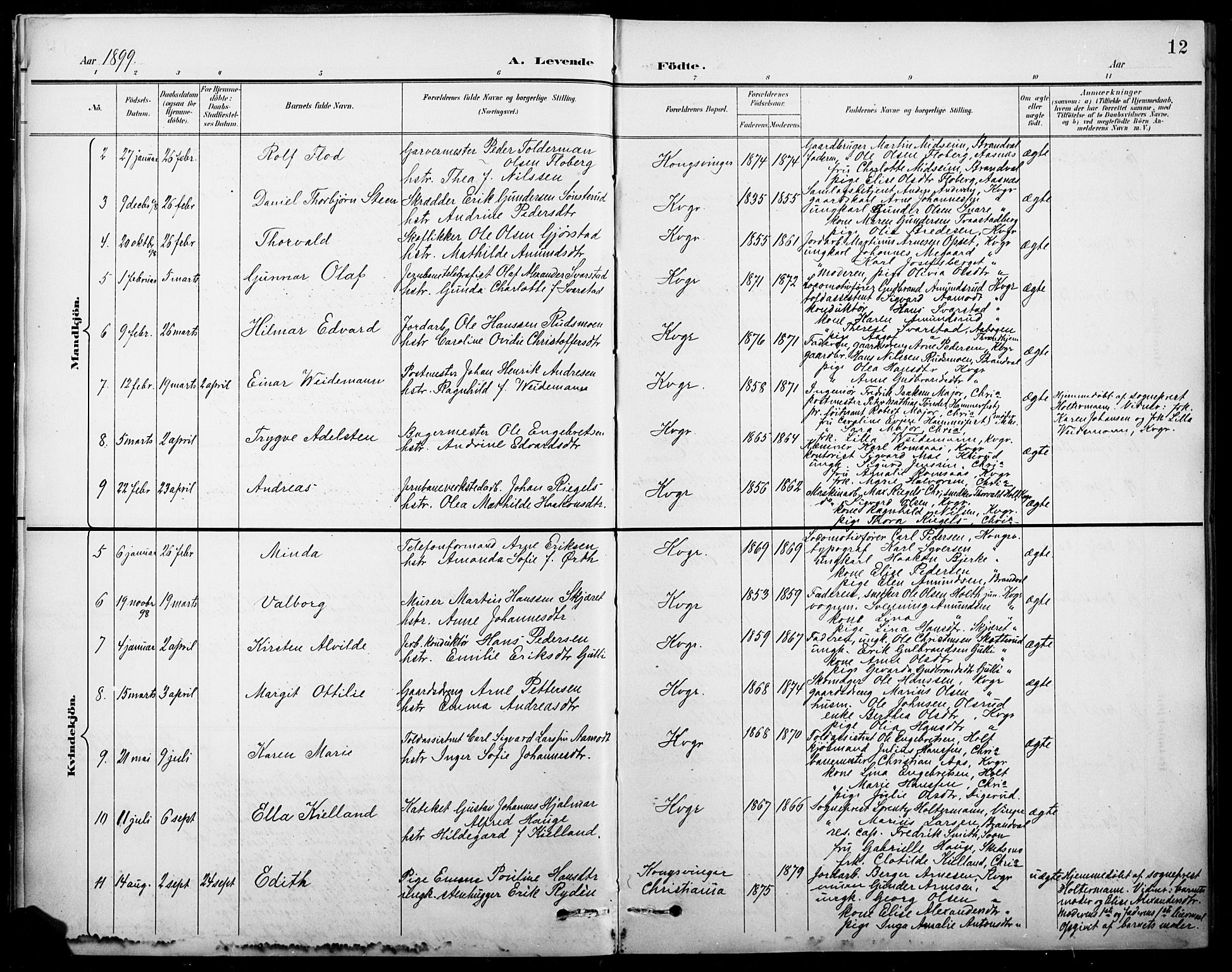 Vinger prestekontor, SAH/PREST-024/H/Ha/Hab/L0005: Parish register (copy) no. 5, 1895-1920, p. 12