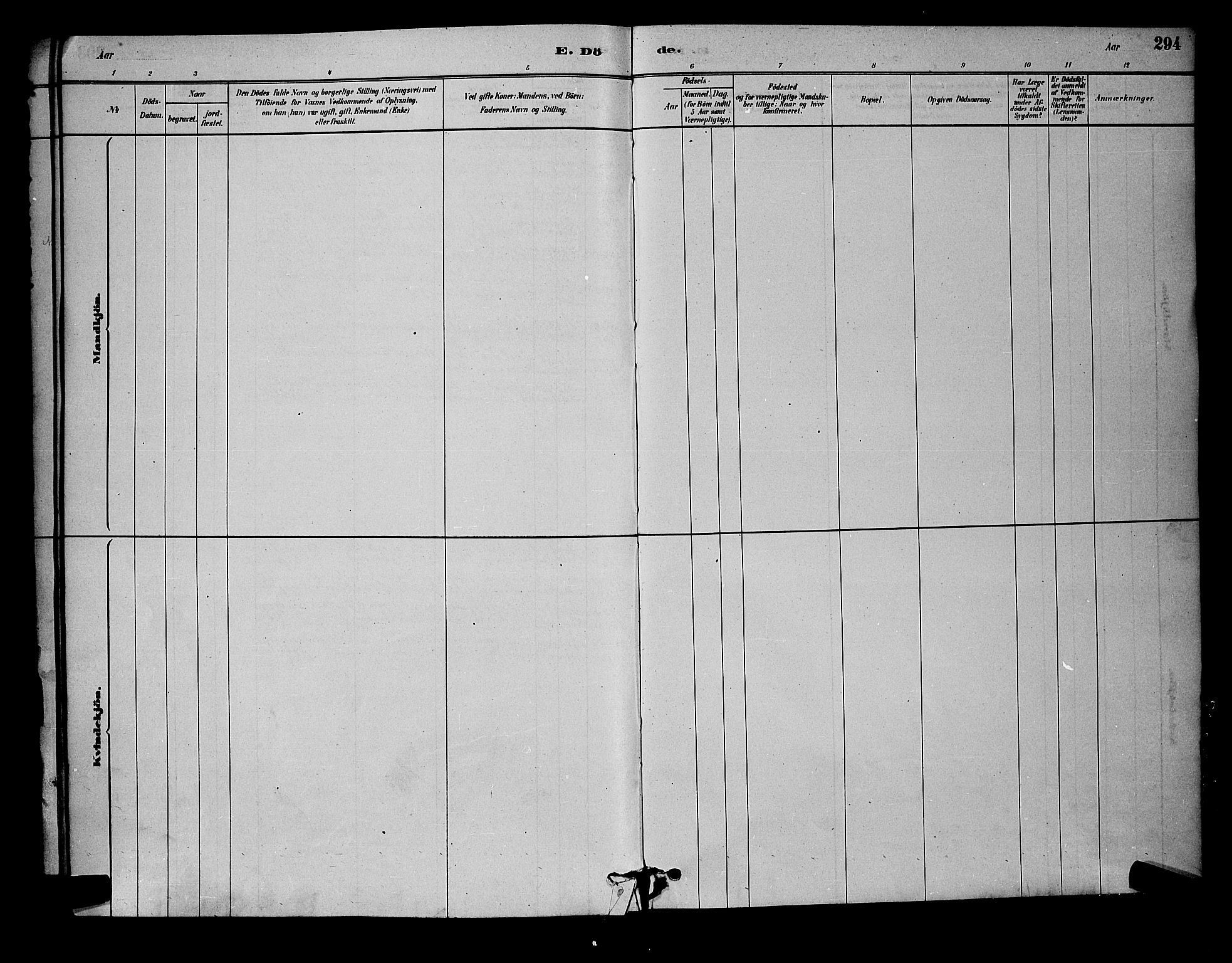 Østre Fredrikstad prestekontor Kirkebøker, AV/SAO-A-10907/G/Ga/L0001: Parish register (copy) no. 1, 1880-1899, p. 294