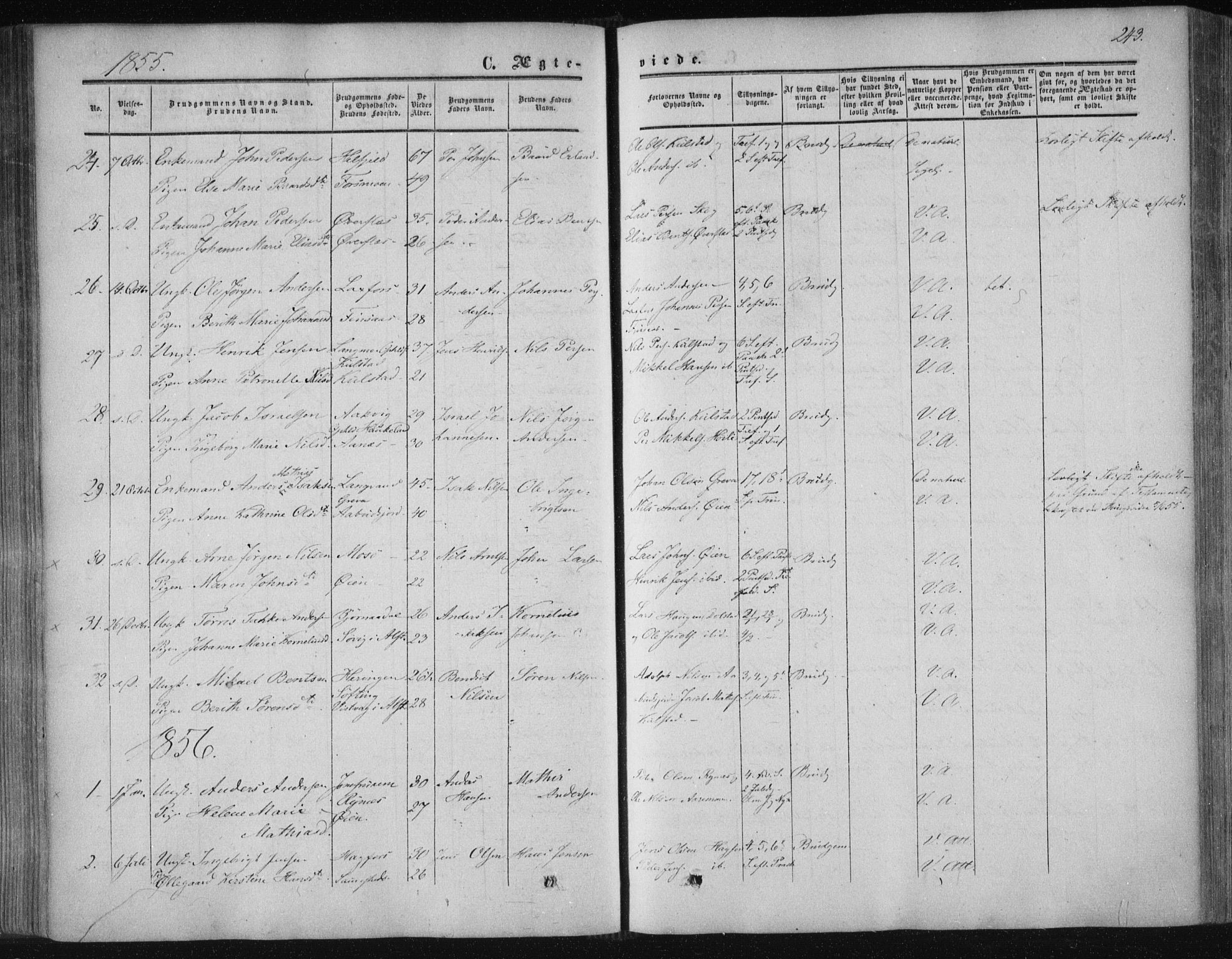 Ministerialprotokoller, klokkerbøker og fødselsregistre - Nordland, AV/SAT-A-1459/820/L0293: Parish register (official) no. 820A14, 1855-1865, p. 243