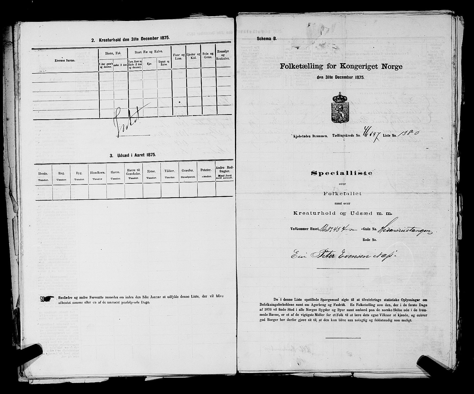 SAKO, 1875 census for 0602 Drammen, 1875, p. 3702