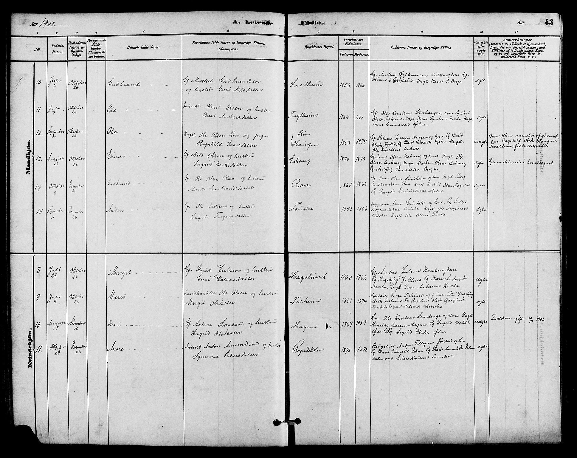 Vestre Slidre prestekontor, SAH/PREST-136/H/Ha/Hab/L0005: Parish register (copy) no. 5, 1881-1913, p. 43