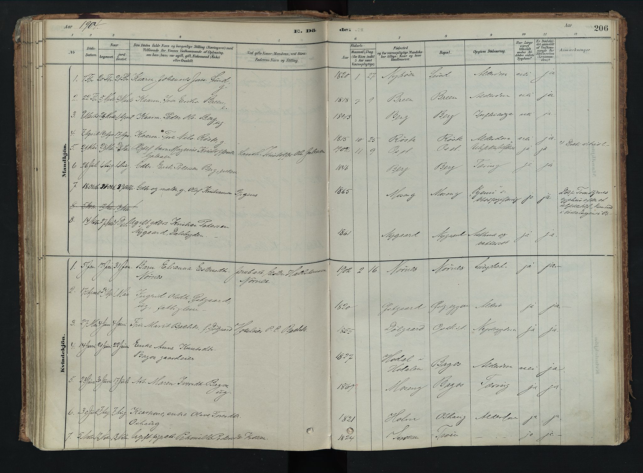 Tolga prestekontor, AV/SAH-PREST-062/K/L0008: Parish register (official) no. 8, 1877-1910, p. 206