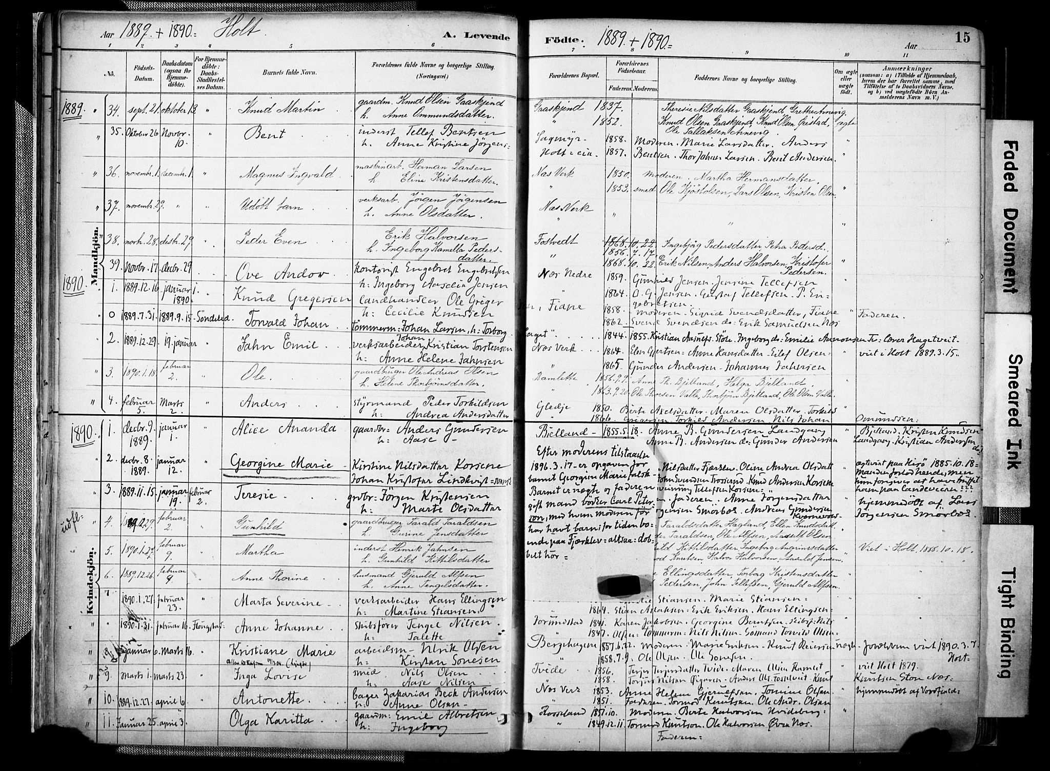 Holt sokneprestkontor, AV/SAK-1111-0021/F/Fa/L0012: Parish register (official) no. A 12, 1885-1907, p. 15