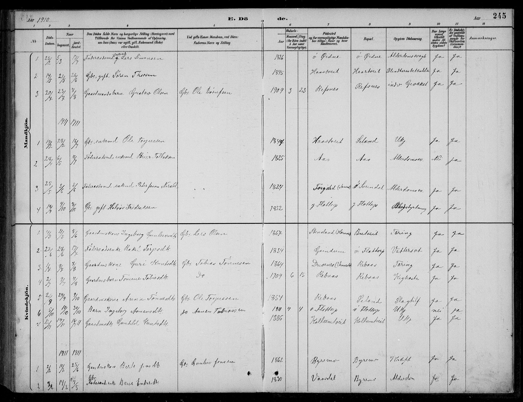 Bjelland sokneprestkontor, SAK/1111-0005/F/Fb/Fbc/L0003: Parish register (copy) no. B 3, 1887-1924, p. 245