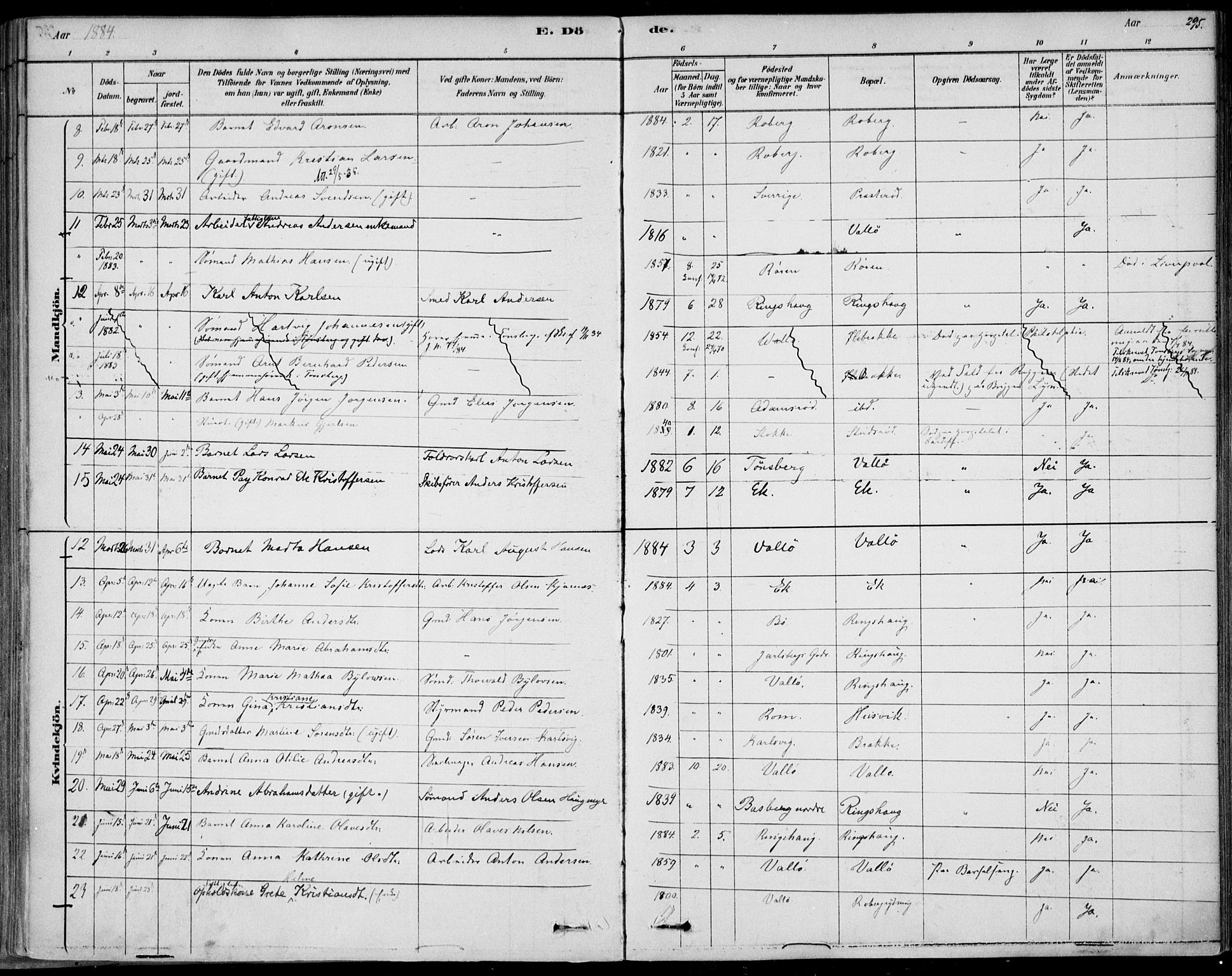 Sem kirkebøker, AV/SAKO-A-5/F/Fb/L0004: Parish register (official) no. II 4, 1878-1891, p. 295