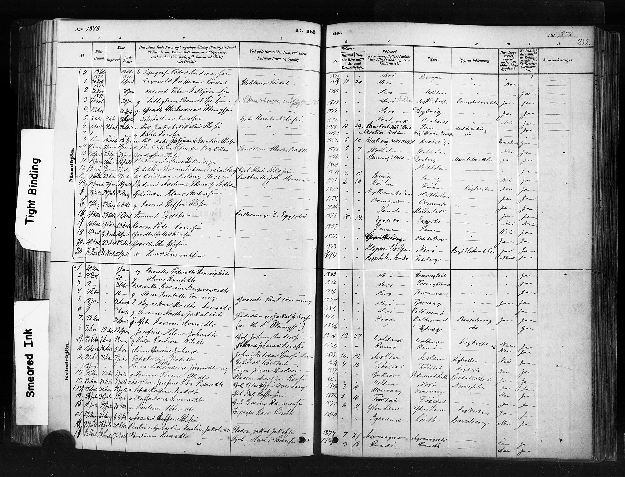 Ministerialprotokoller, klokkerbøker og fødselsregistre - Møre og Romsdal, AV/SAT-A-1454/507/L0073: Parish register (official) no. 507A08, 1878-1904, p. 252