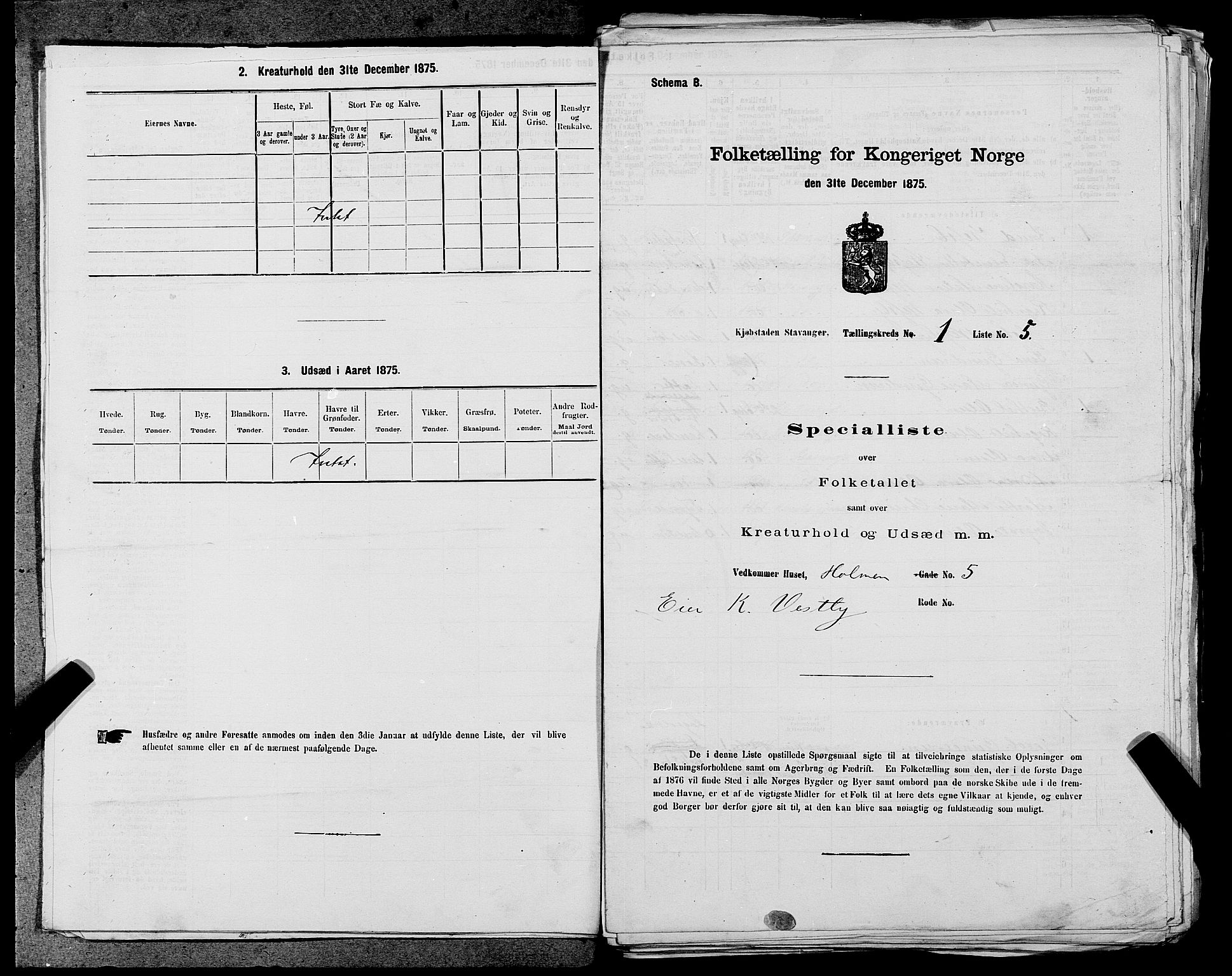 SAST, 1875 census for 1103 Stavanger, 1875, p. 9