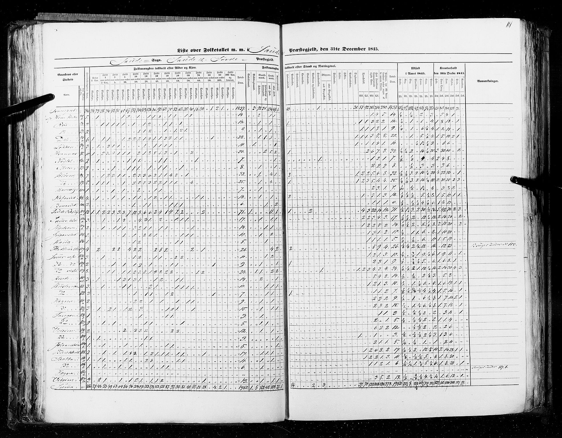 RA, Census 1845, vol. 5: Bratsberg amt og Nedenes og Råbyggelaget amt, 1845, p. 111