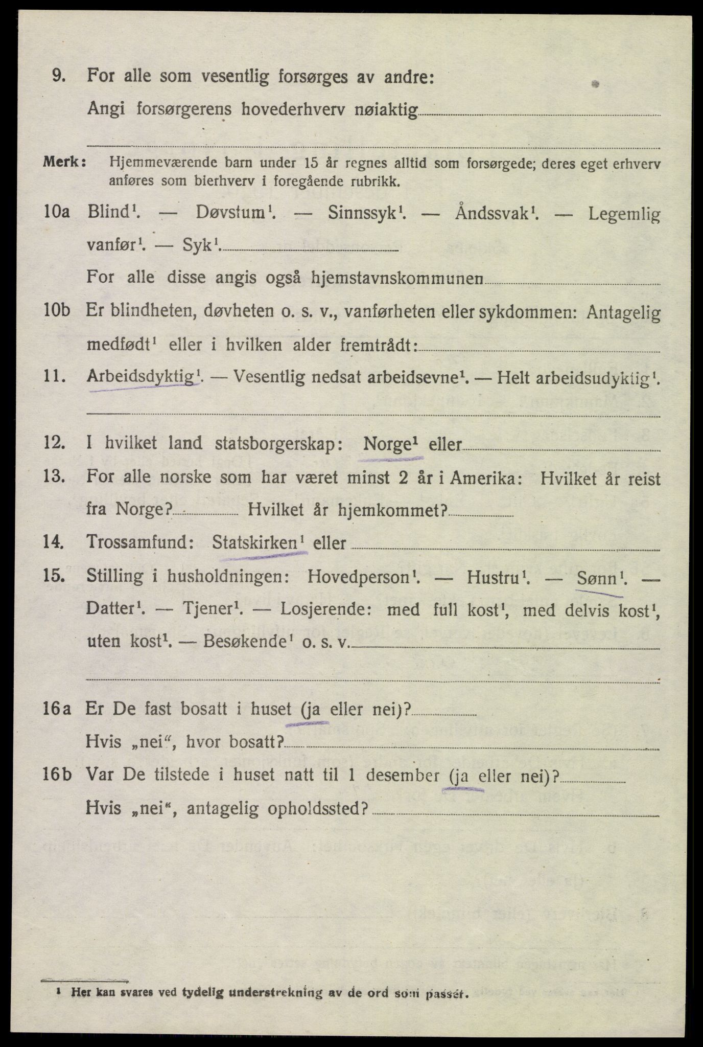 SAH, 1920 census for Åsnes, 1920, p. 13421