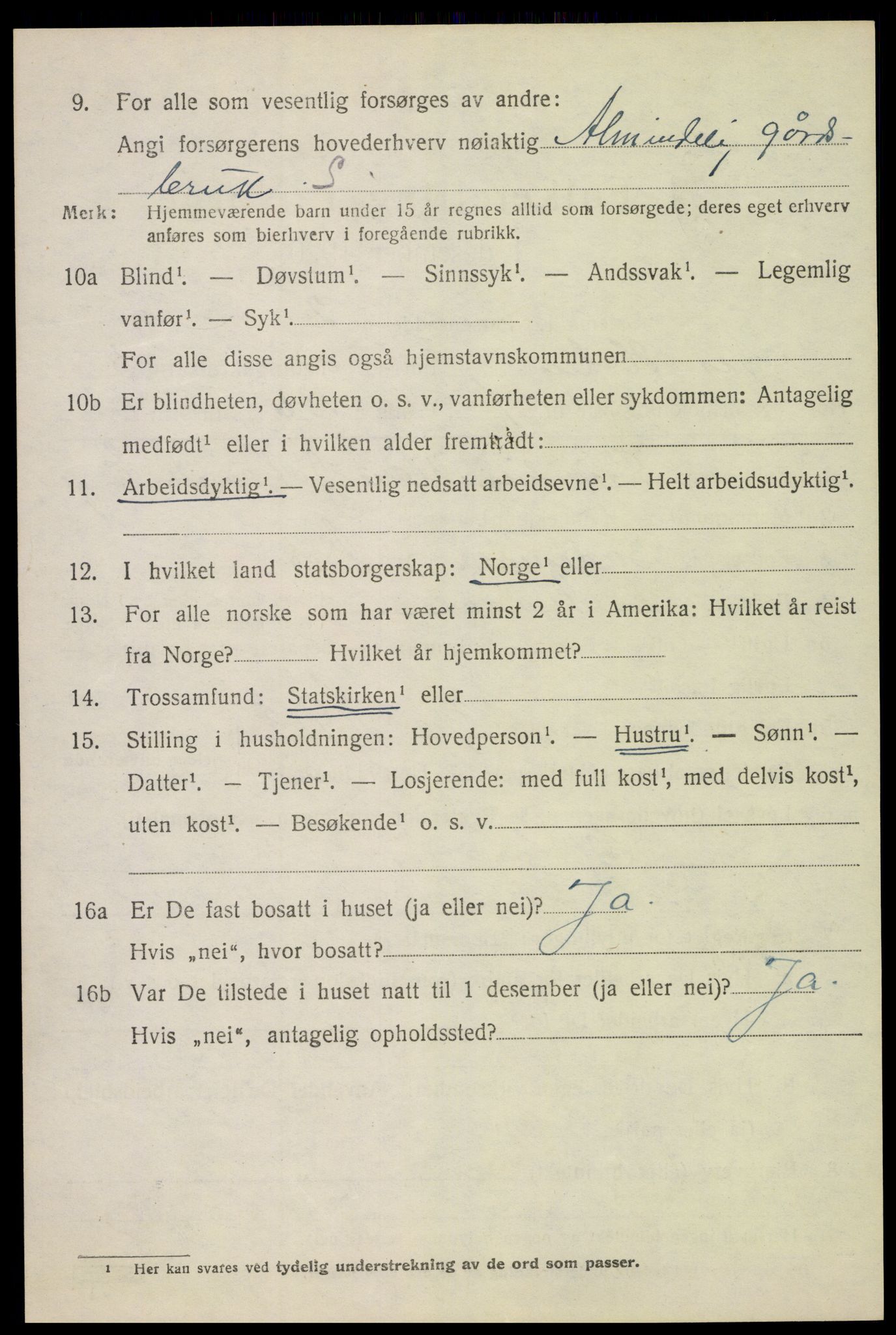 SAH, 1920 census for Nes (Hedmark), 1920, p. 6641