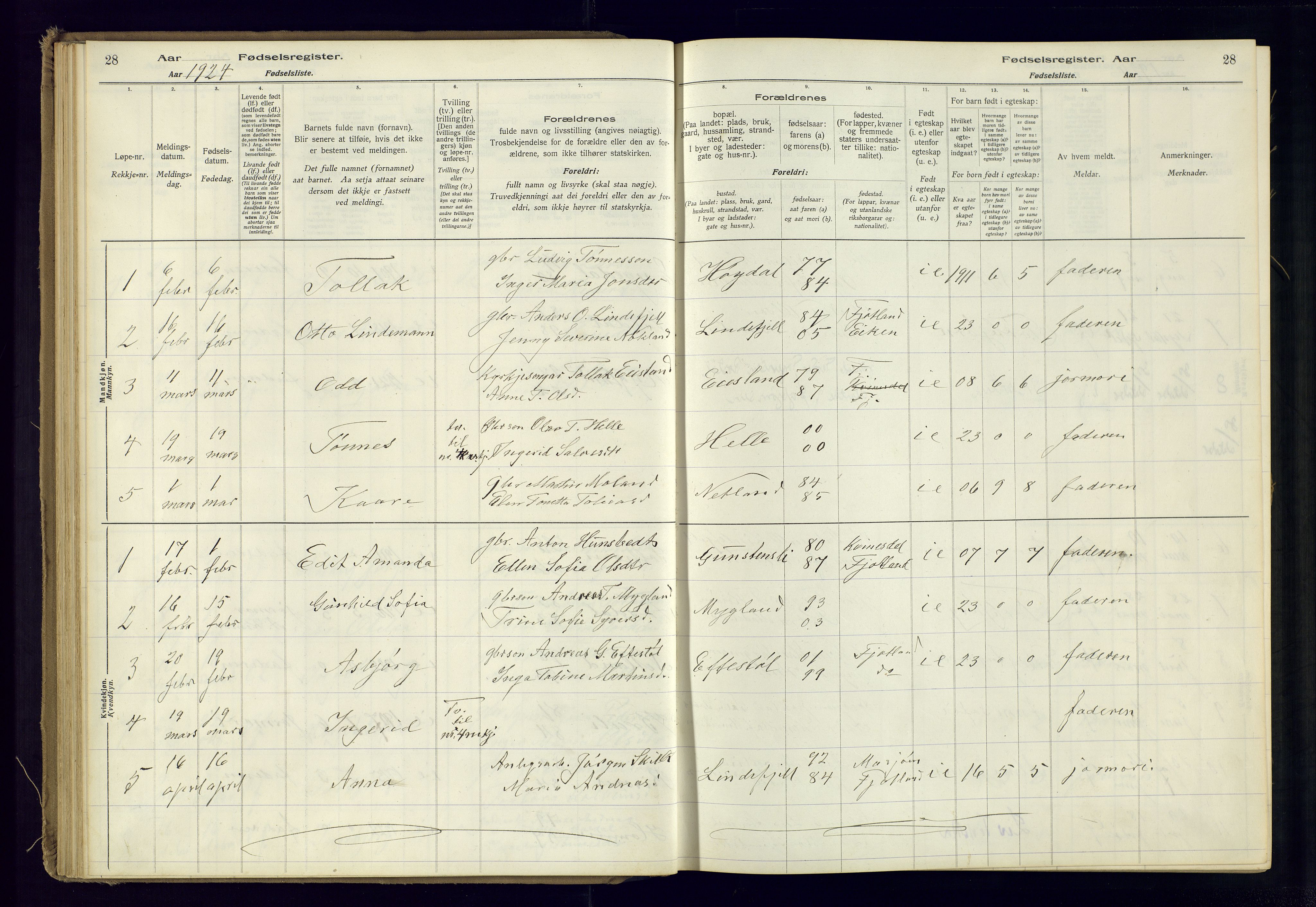 Fjotland sokneprestkontor, AV/SAK-1111-0010/J/Ja/L0001: Birth register no. 1, 1916-1981, p. 28