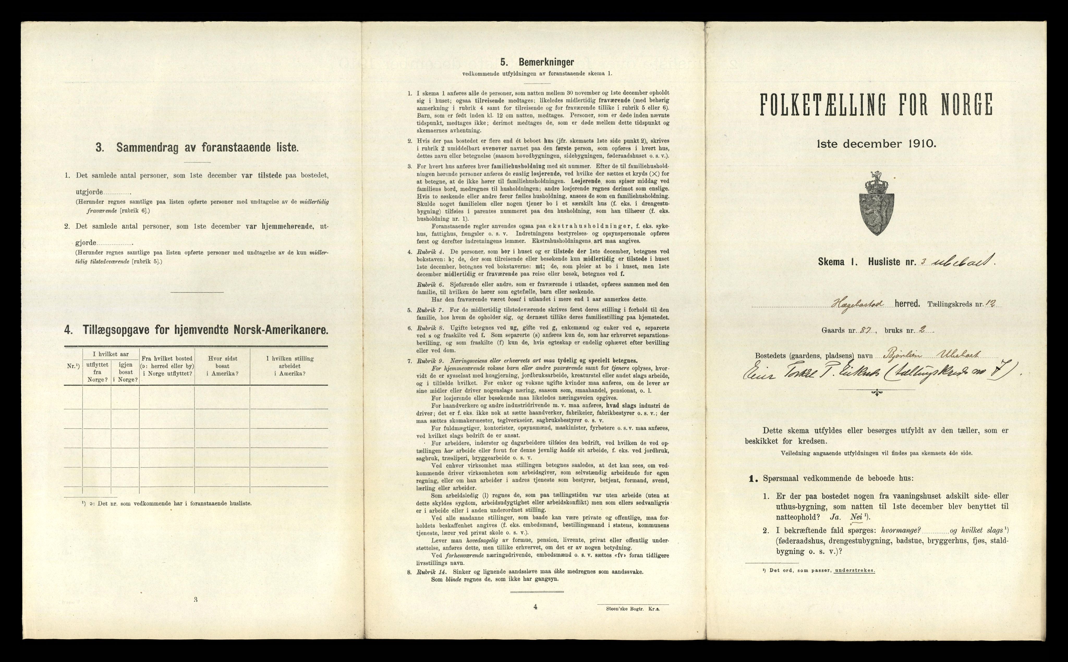 RA, 1910 census for Hægebostad, 1910, p. 961