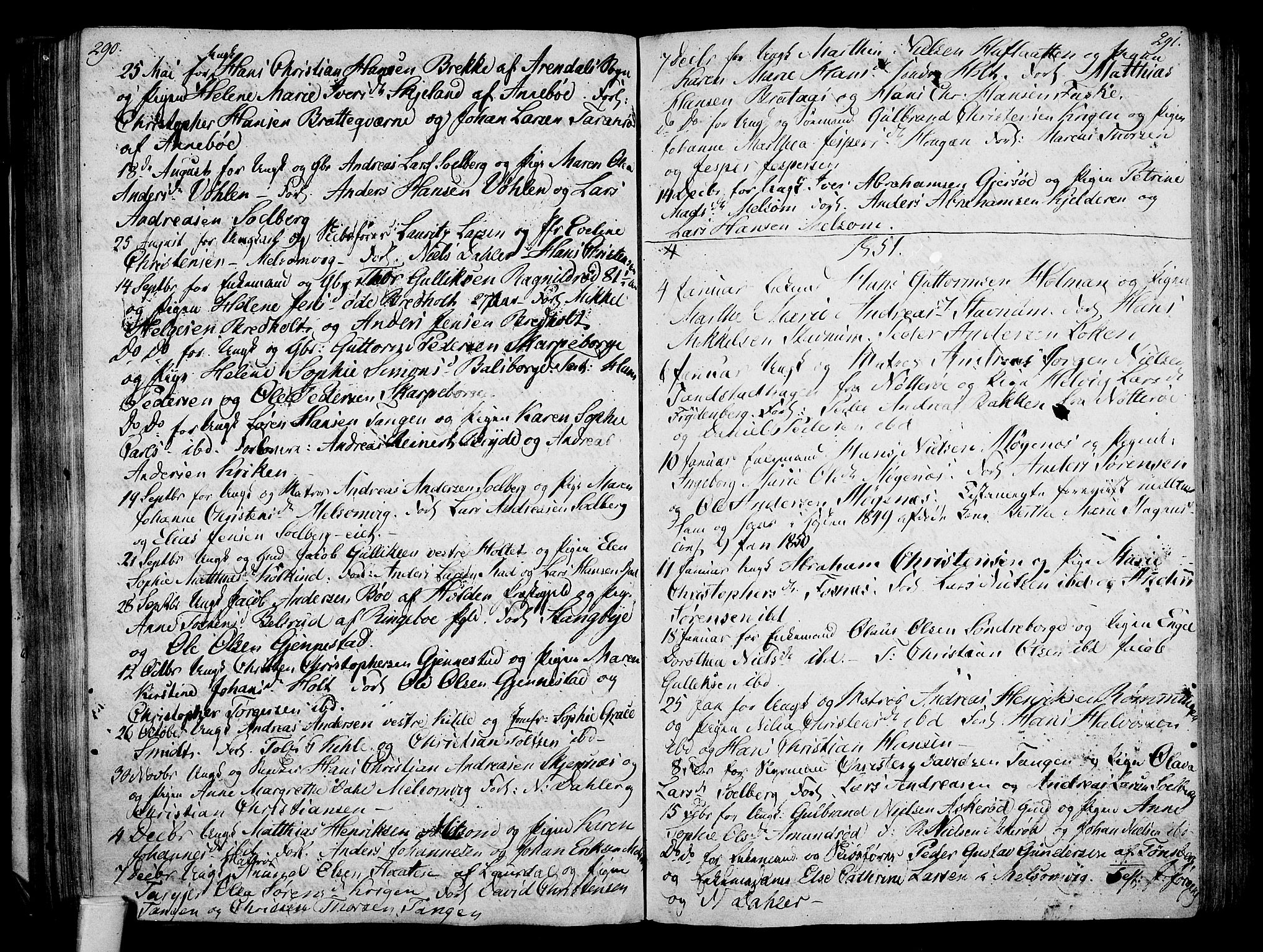 Stokke kirkebøker, AV/SAKO-A-320/F/Fa/L0004: Parish register (official) no. I 4, 1804-1815, p. 290-291