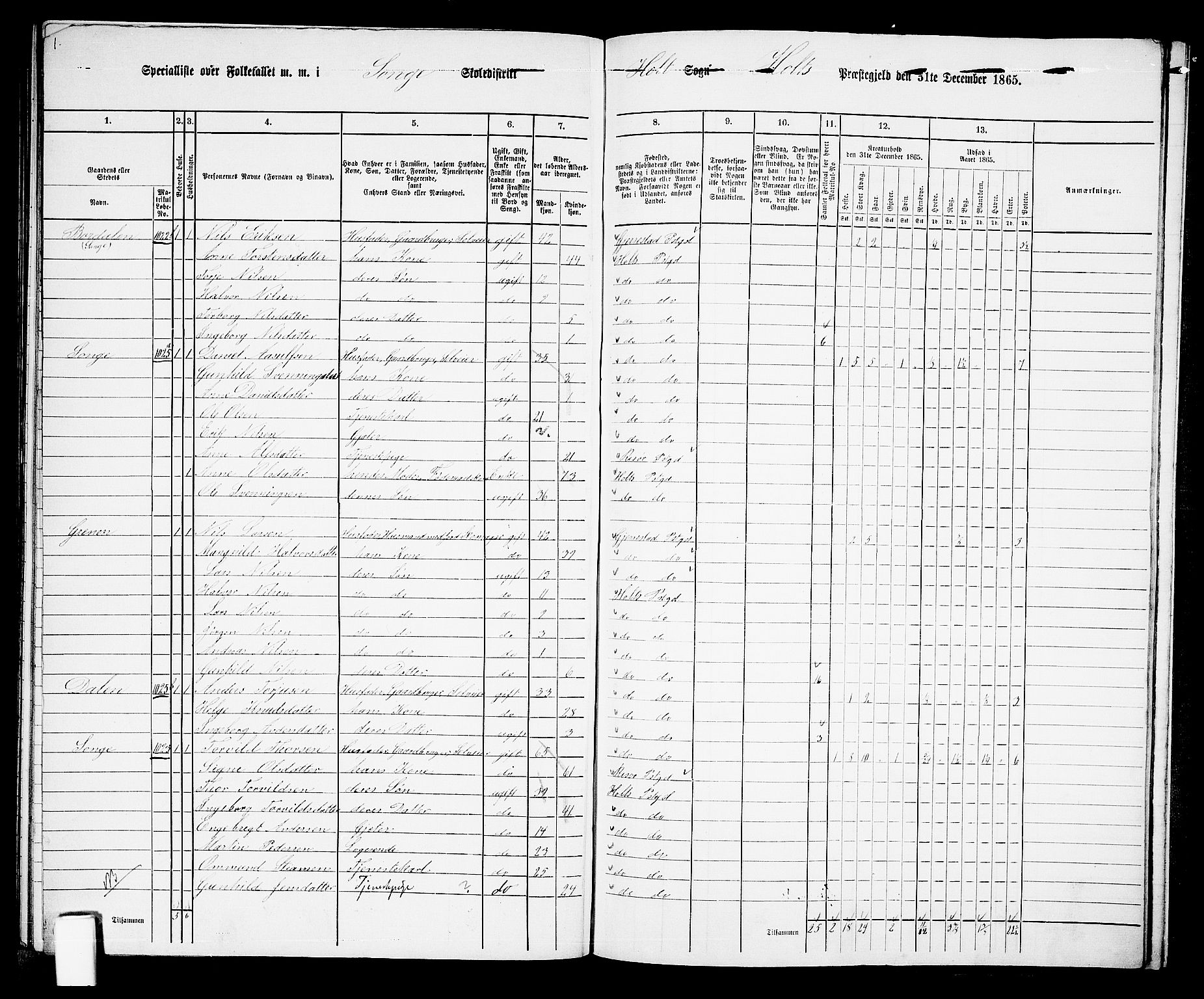 RA, 1865 census for Holt/Holt, 1865, p. 166