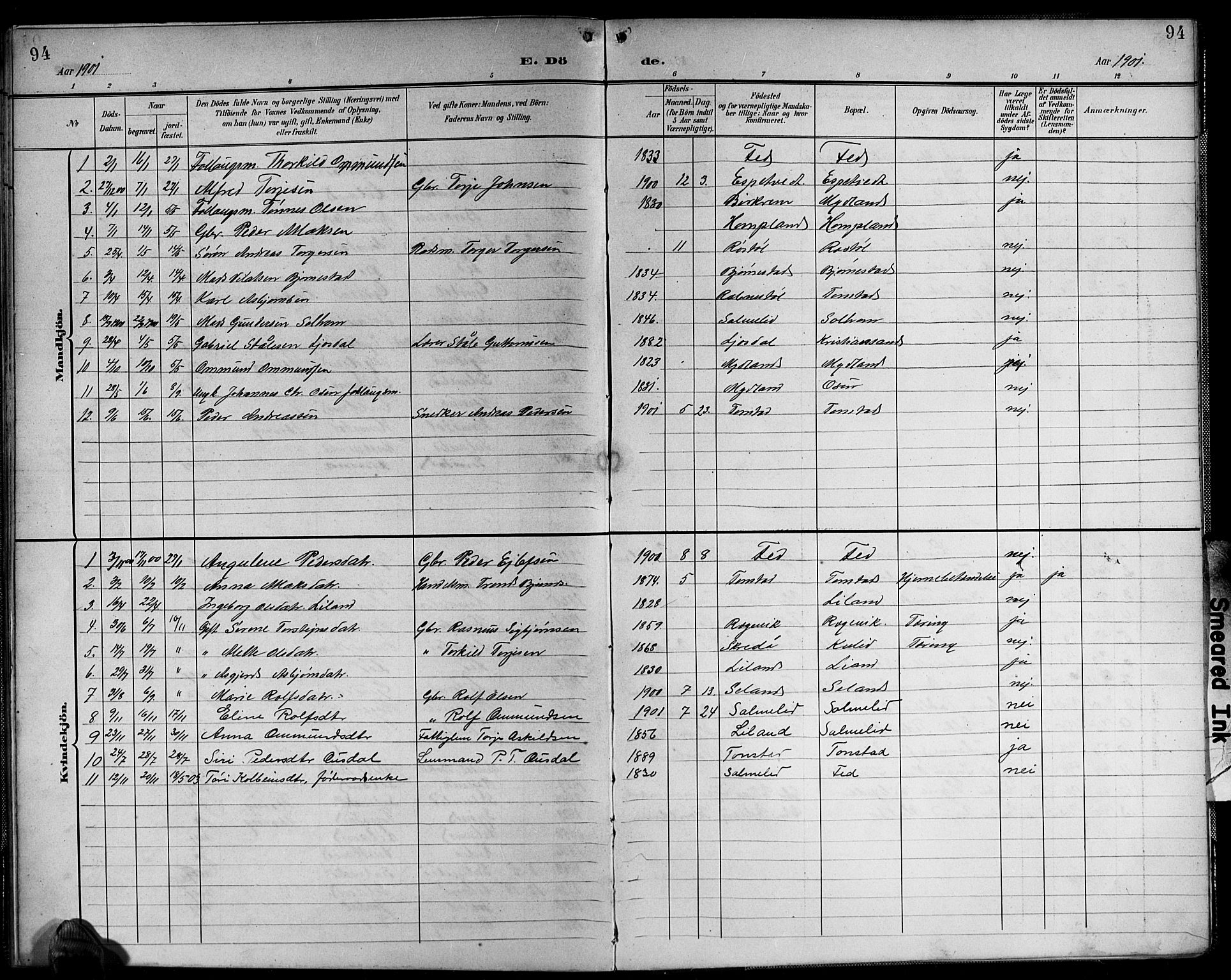 Sirdal sokneprestkontor, SAK/1111-0036/F/Fb/Fbb/L0004: Parish register (copy) no. B 4, 1895-1916, p. 94