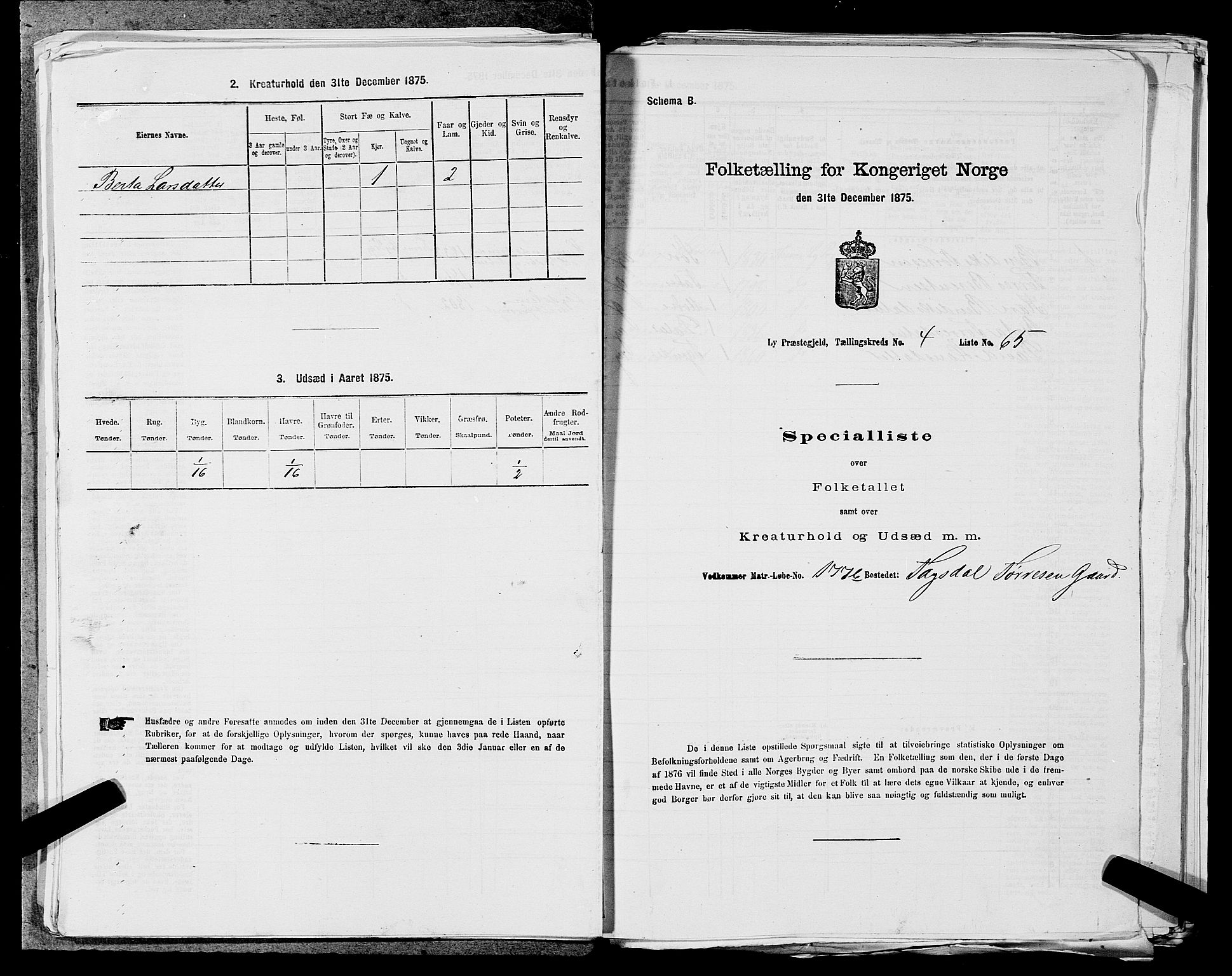 SAST, 1875 census for 1121P Lye, 1875, p. 604