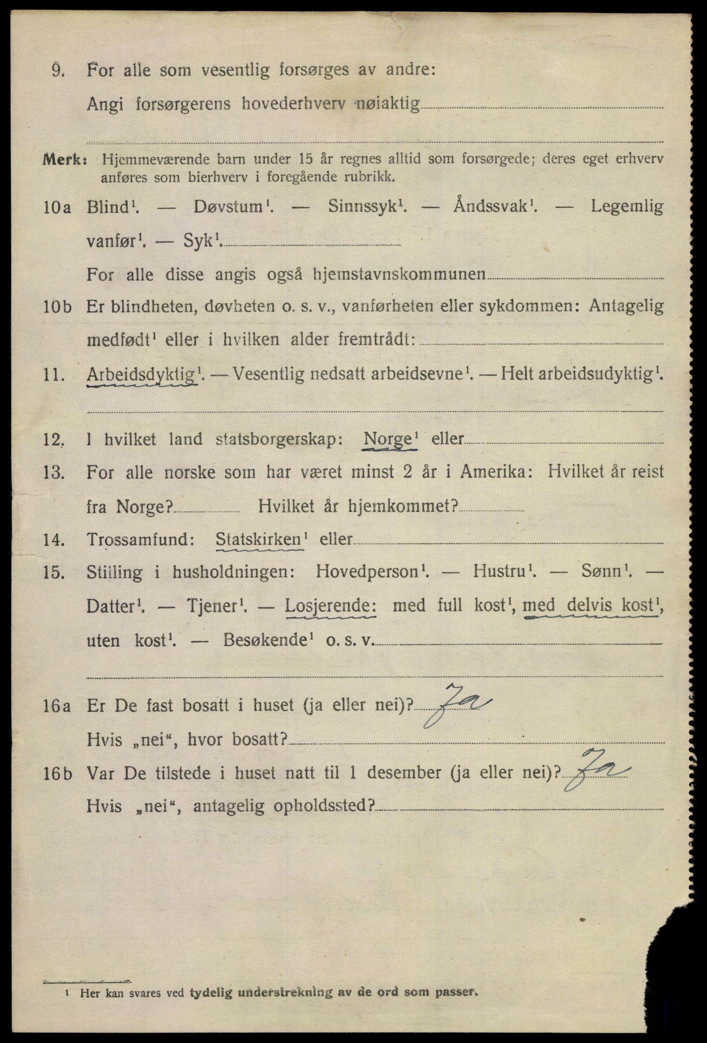 SAKO, 1920 census for Skien, 1920, p. 13529