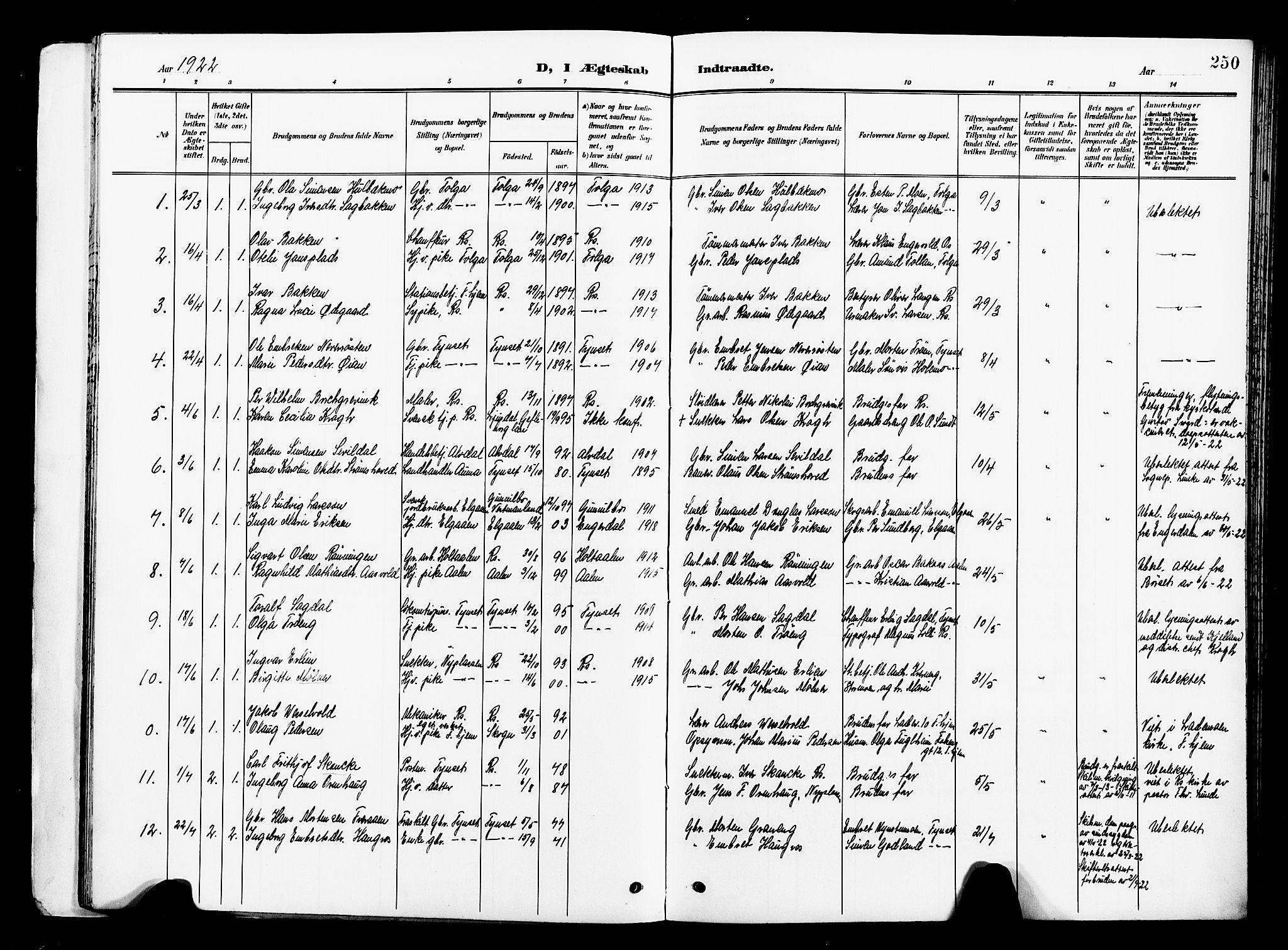 Ministerialprotokoller, klokkerbøker og fødselsregistre - Sør-Trøndelag, AV/SAT-A-1456/681/L0942: Parish register (copy) no. 681C06, 1906-1925, p. 250