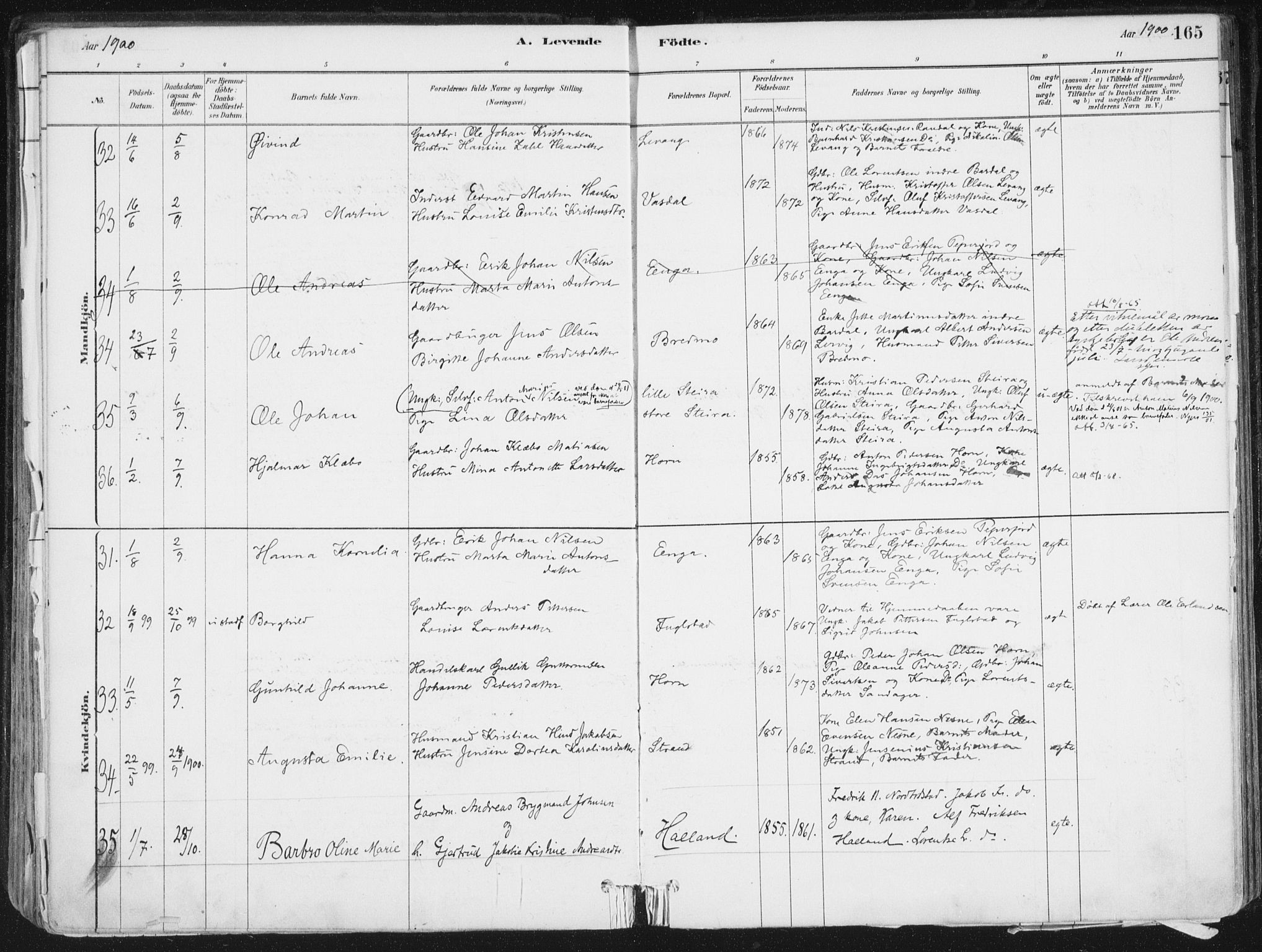 Ministerialprotokoller, klokkerbøker og fødselsregistre - Nordland, AV/SAT-A-1459/838/L0552: Parish register (official) no. 838A10, 1880-1910, p. 165