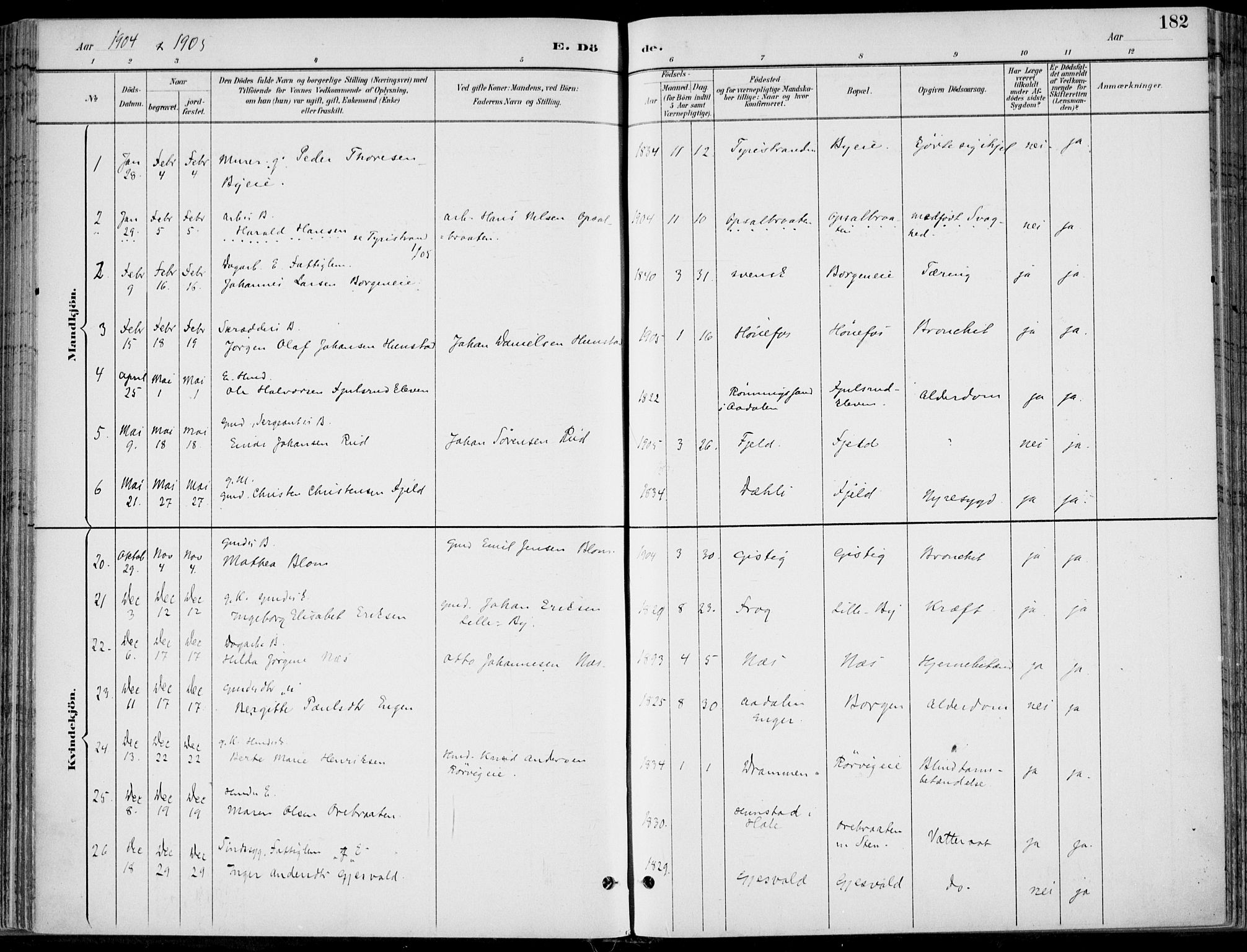 Hole kirkebøker, AV/SAKO-A-228/F/Fa/L0009: Parish register (official) no. I 9, 1892-1907, p. 182