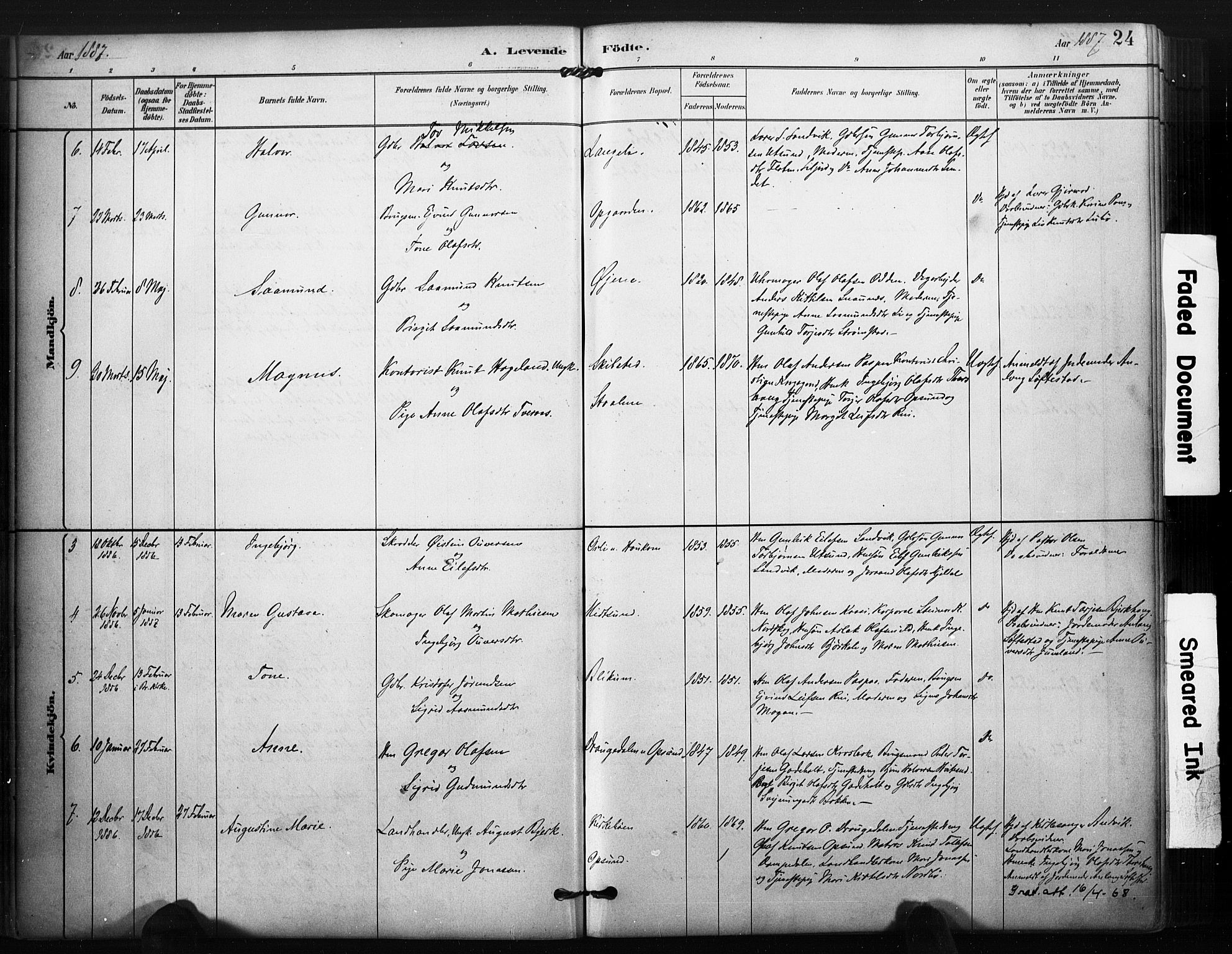 Kviteseid kirkebøker, SAKO/A-276/F/Fa/L0008: Parish register (official) no. I 8, 1882-1903, p. 24