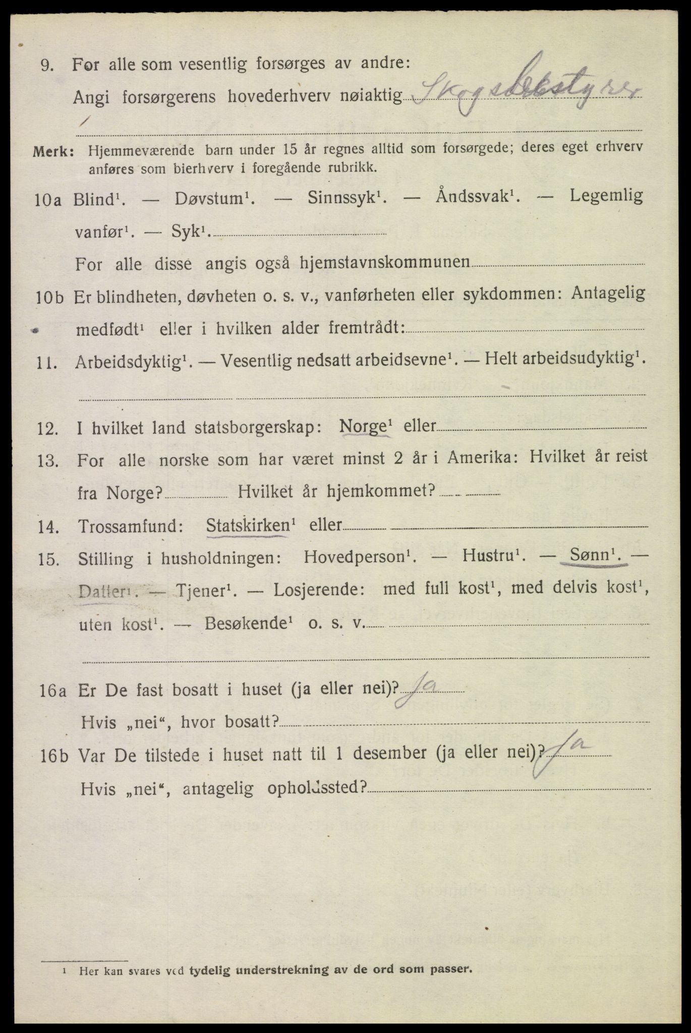 SAH, 1920 census for Stor-Elvdal, 1920, p. 8853