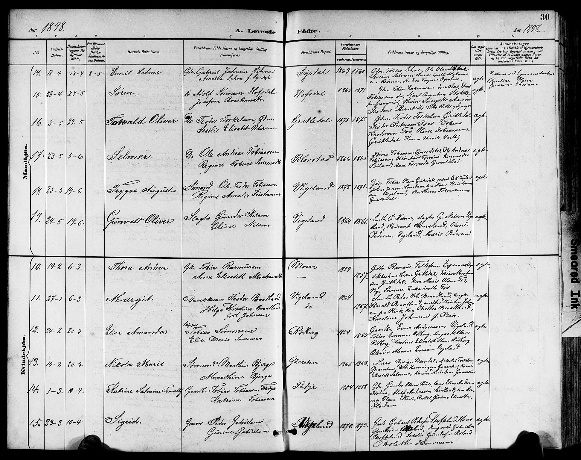 Sør-Audnedal sokneprestkontor, AV/SAK-1111-0039/F/Fb/Fbb/L0006: Parish register (copy) no. B 6, 1893-1915, p. 30