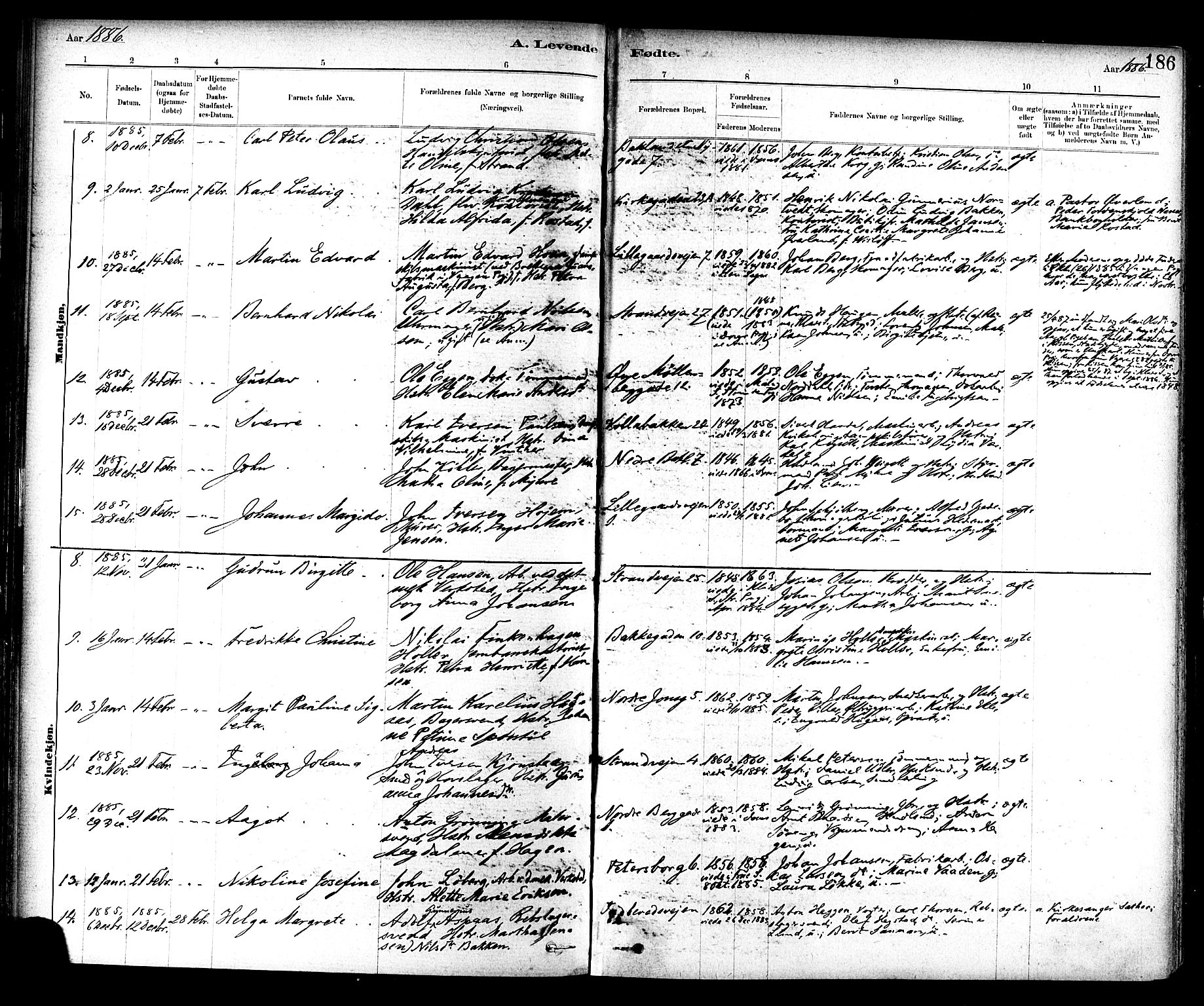 Ministerialprotokoller, klokkerbøker og fødselsregistre - Sør-Trøndelag, SAT/A-1456/604/L0188: Parish register (official) no. 604A09, 1878-1892, p. 186