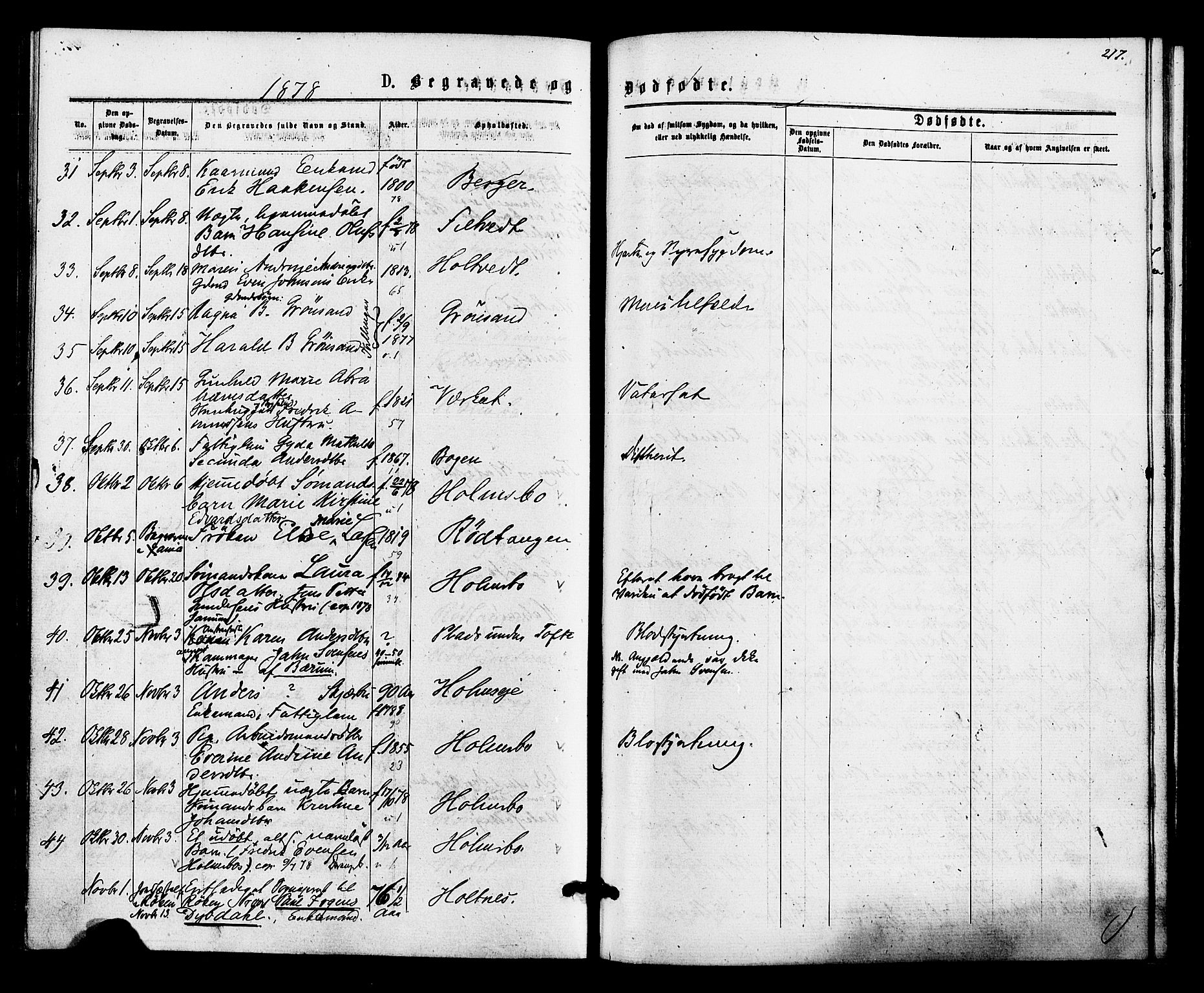 Hurum kirkebøker, AV/SAKO-A-229/F/Fa/L0013: Parish register (official) no. 13, 1876-1881, p. 217