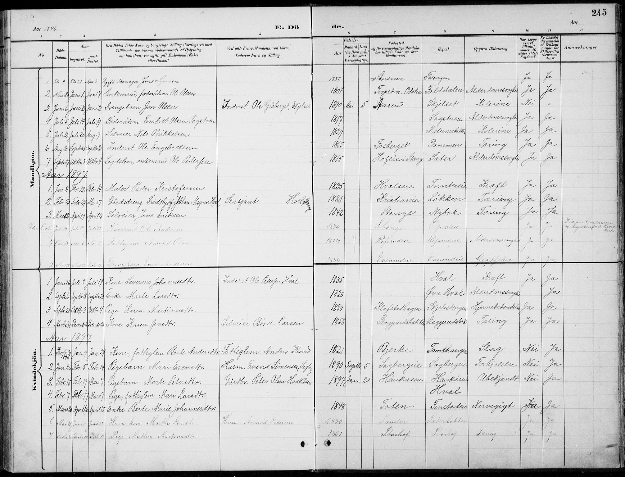 Romedal prestekontor, SAH/PREST-004/L/L0013: Parish register (copy) no. 13, 1896-1937, p. 245